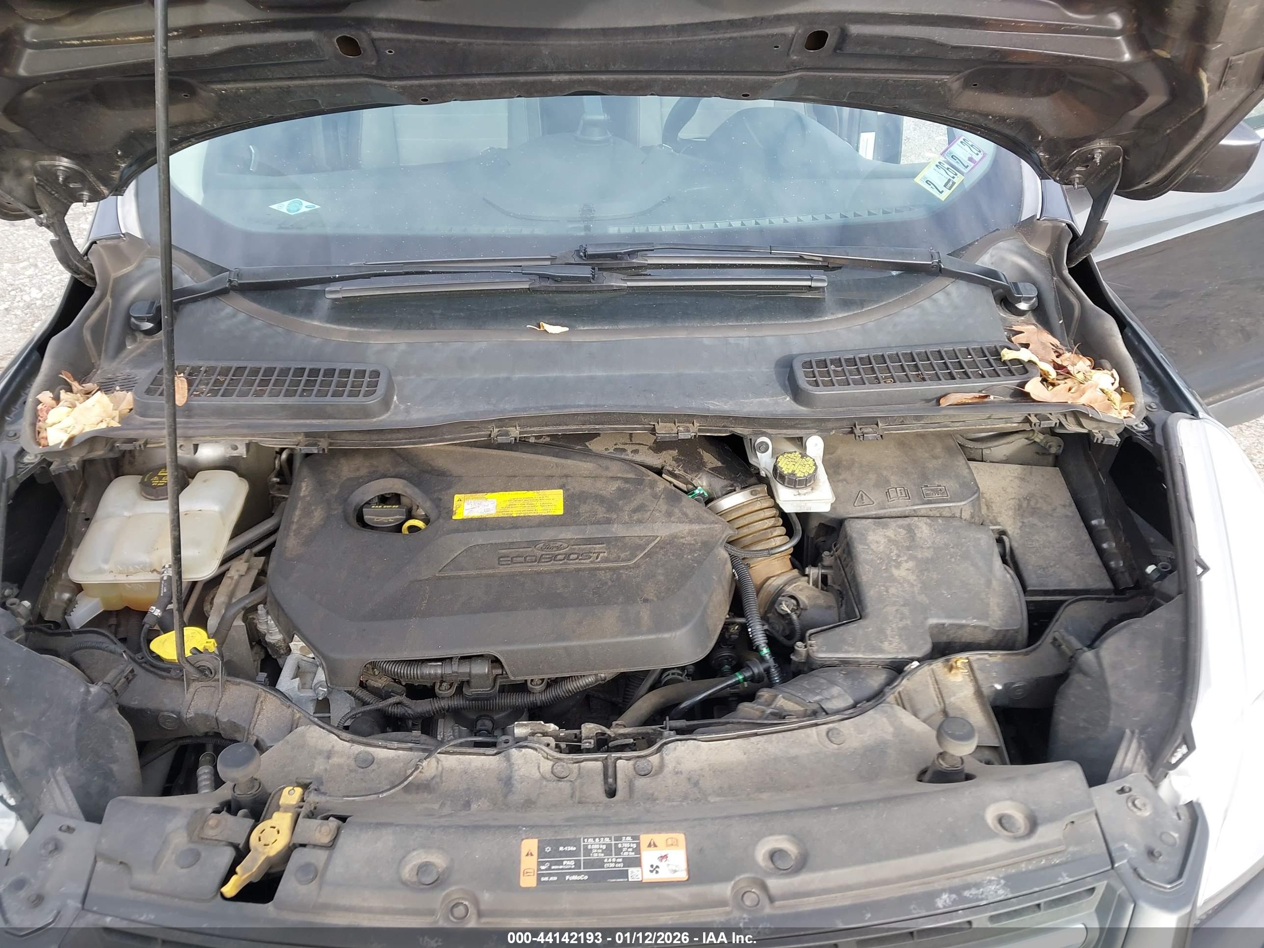 FORD ESCAPE image 10