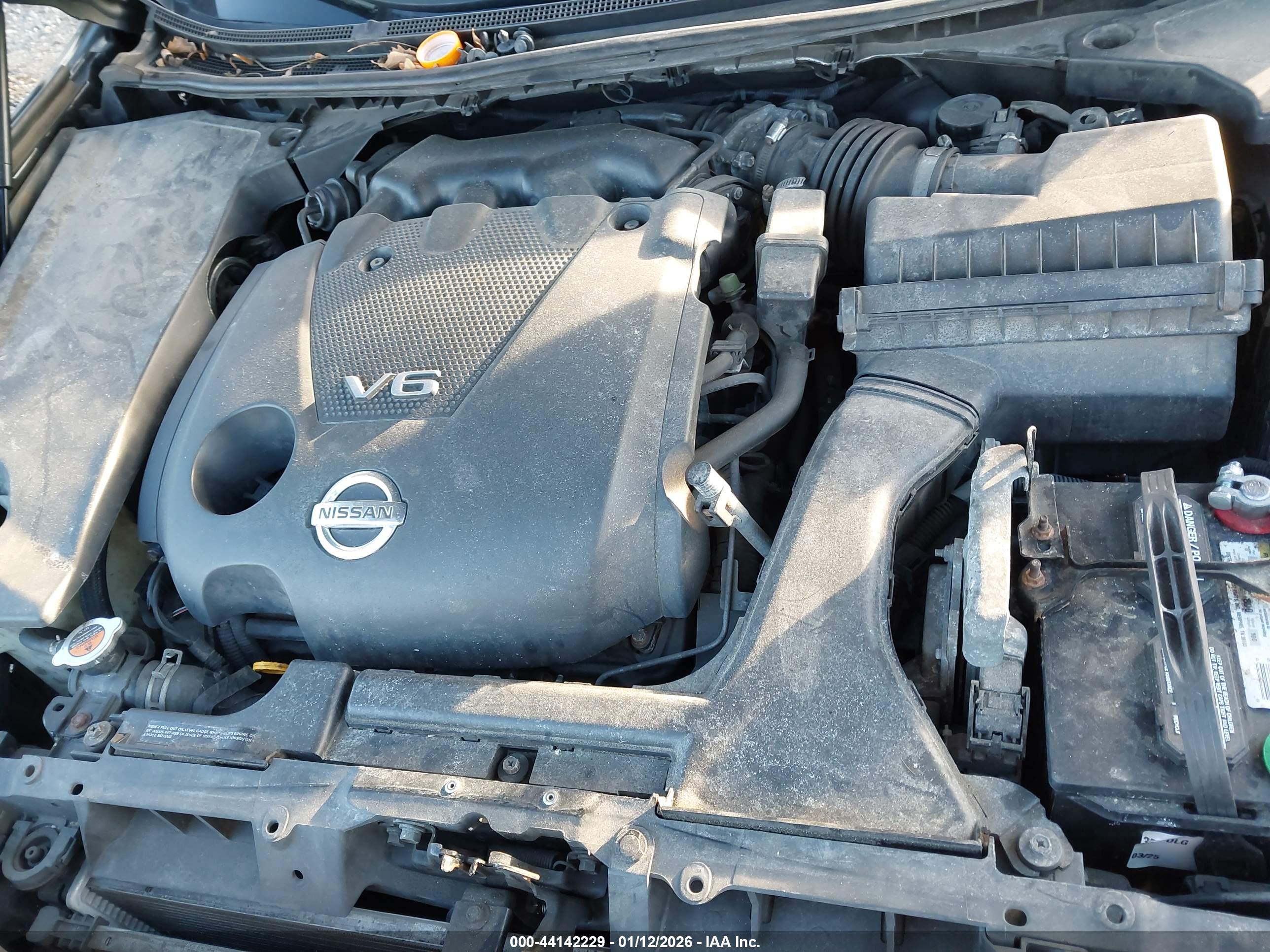 NISSAN MAXIMA image 10