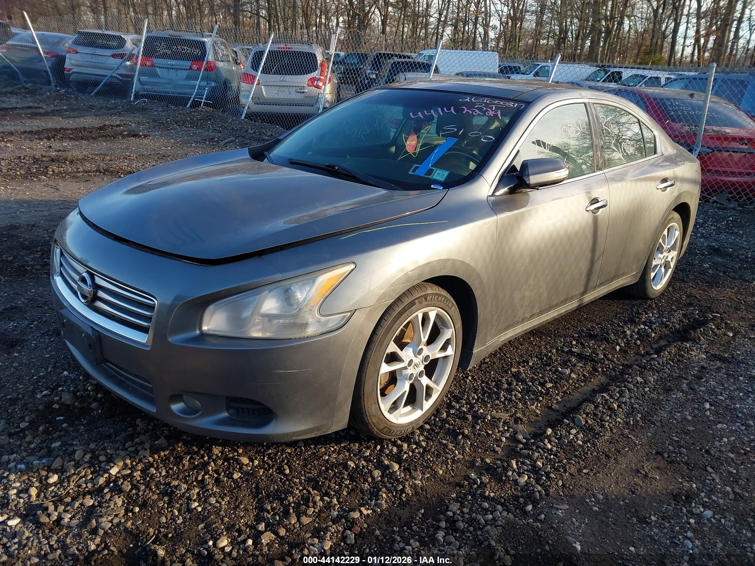 NISSAN MAXIMA image 2