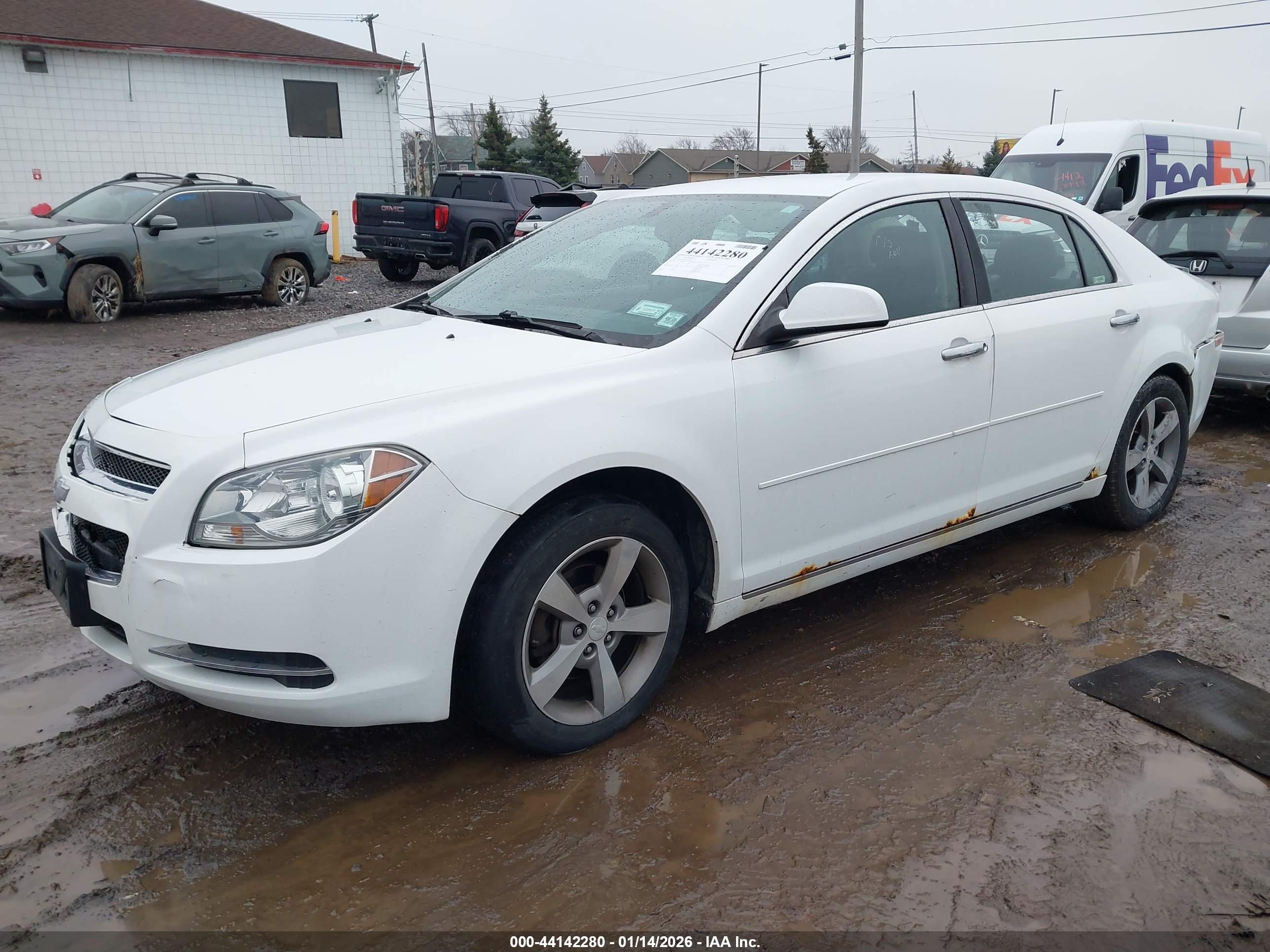 CHEVROLET MALIBU image 2