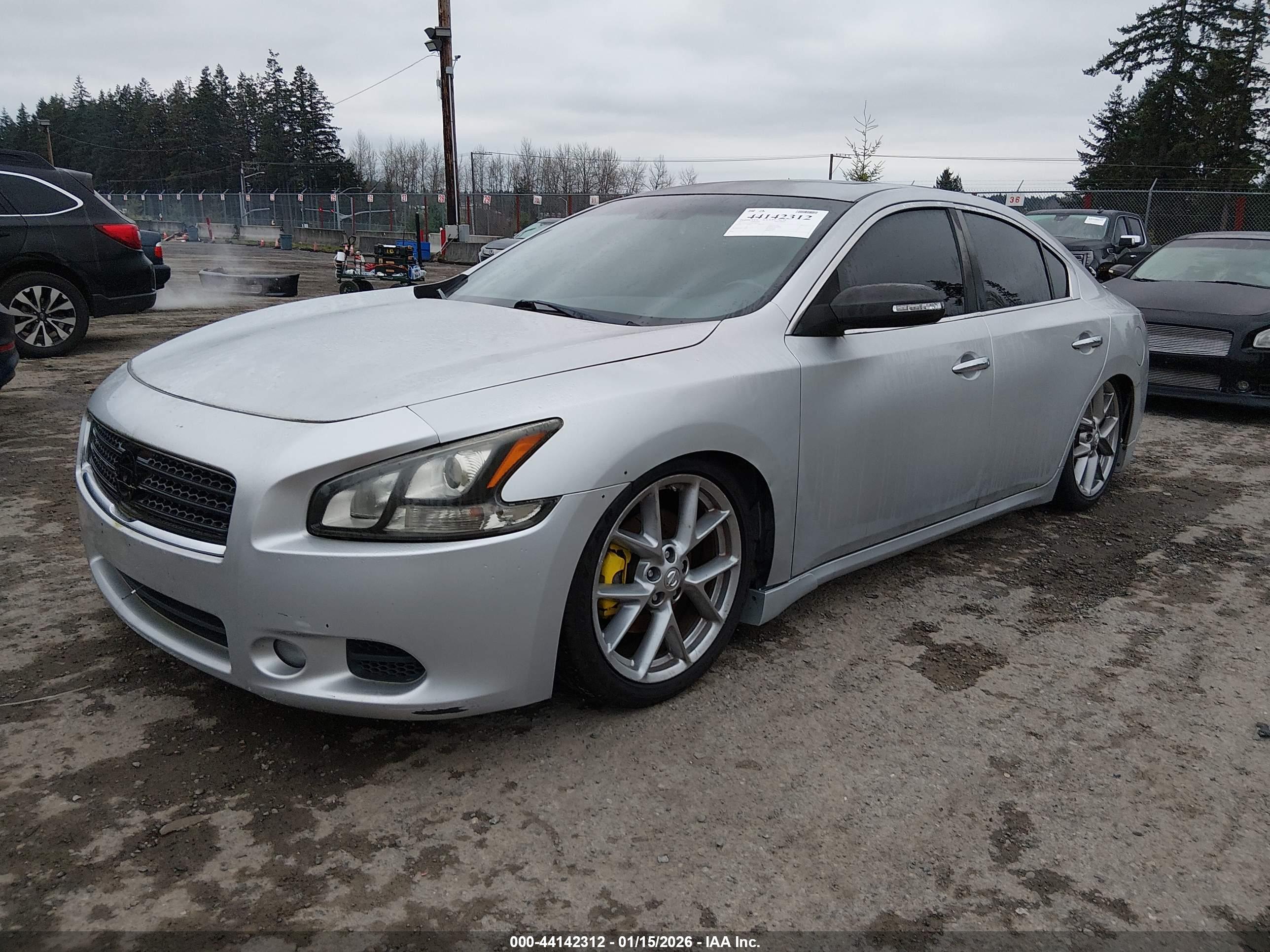 NISSAN MAXIMA image 2