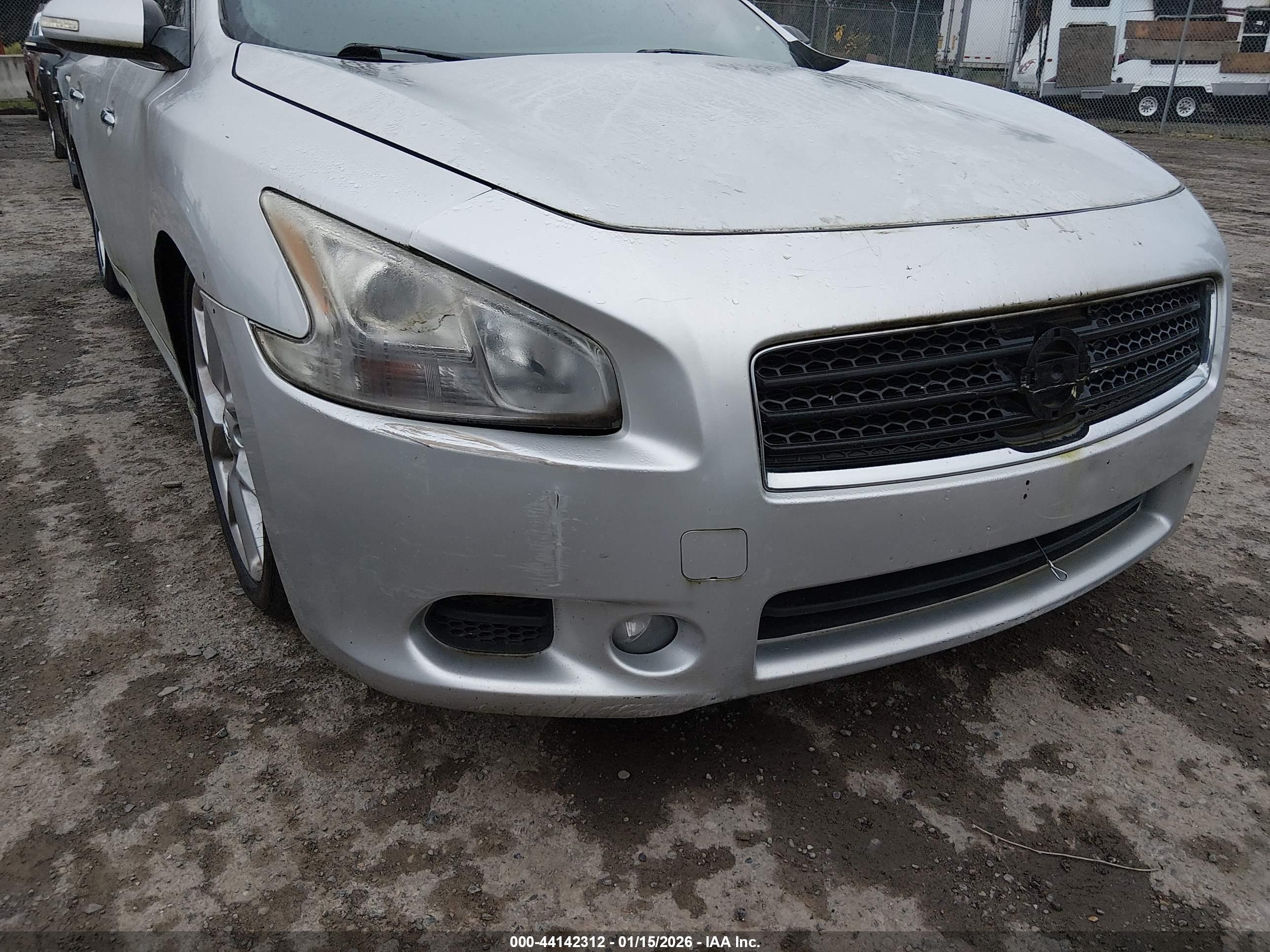 NISSAN MAXIMA image 6