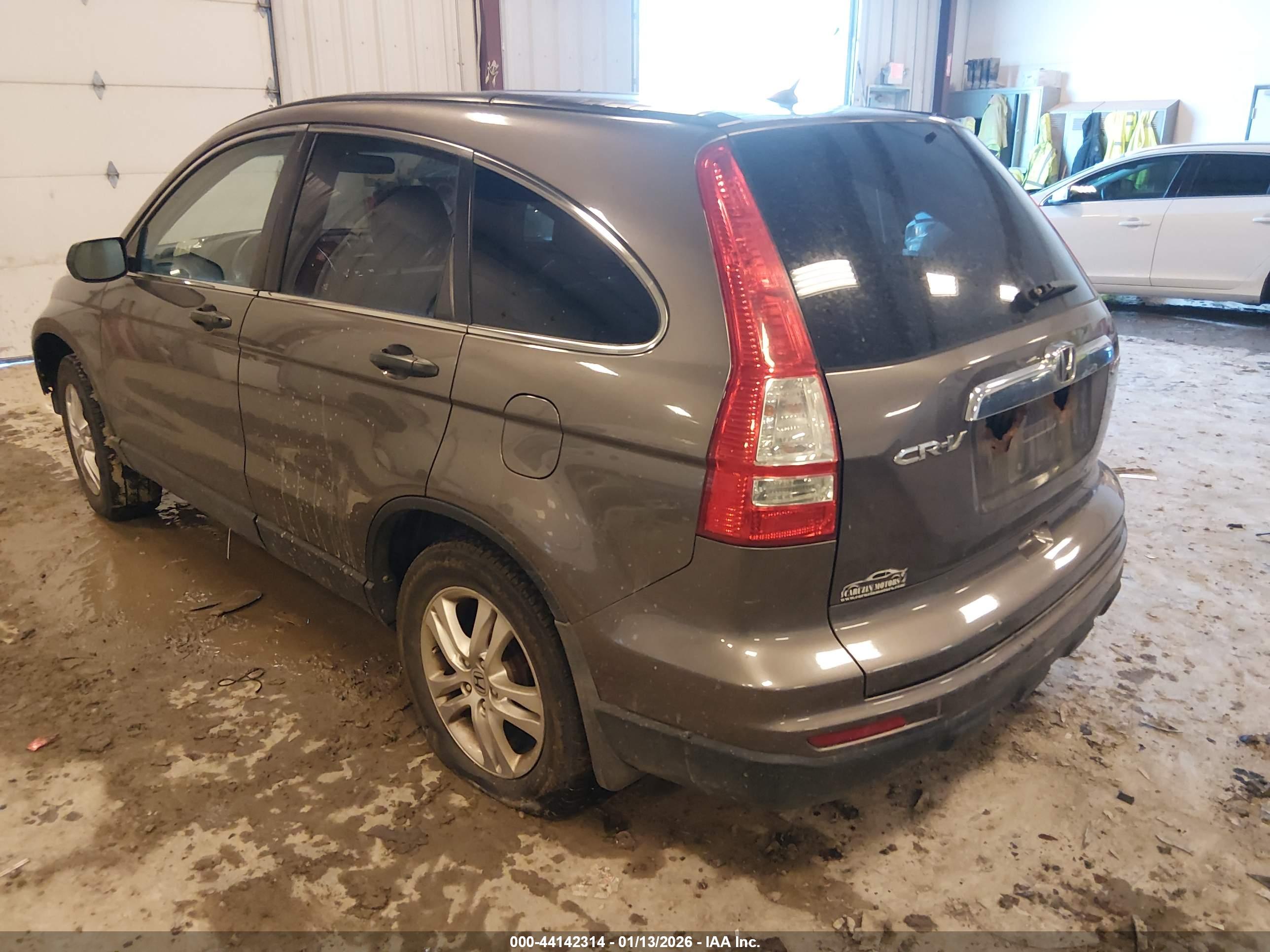 HONDA CR-V image 3