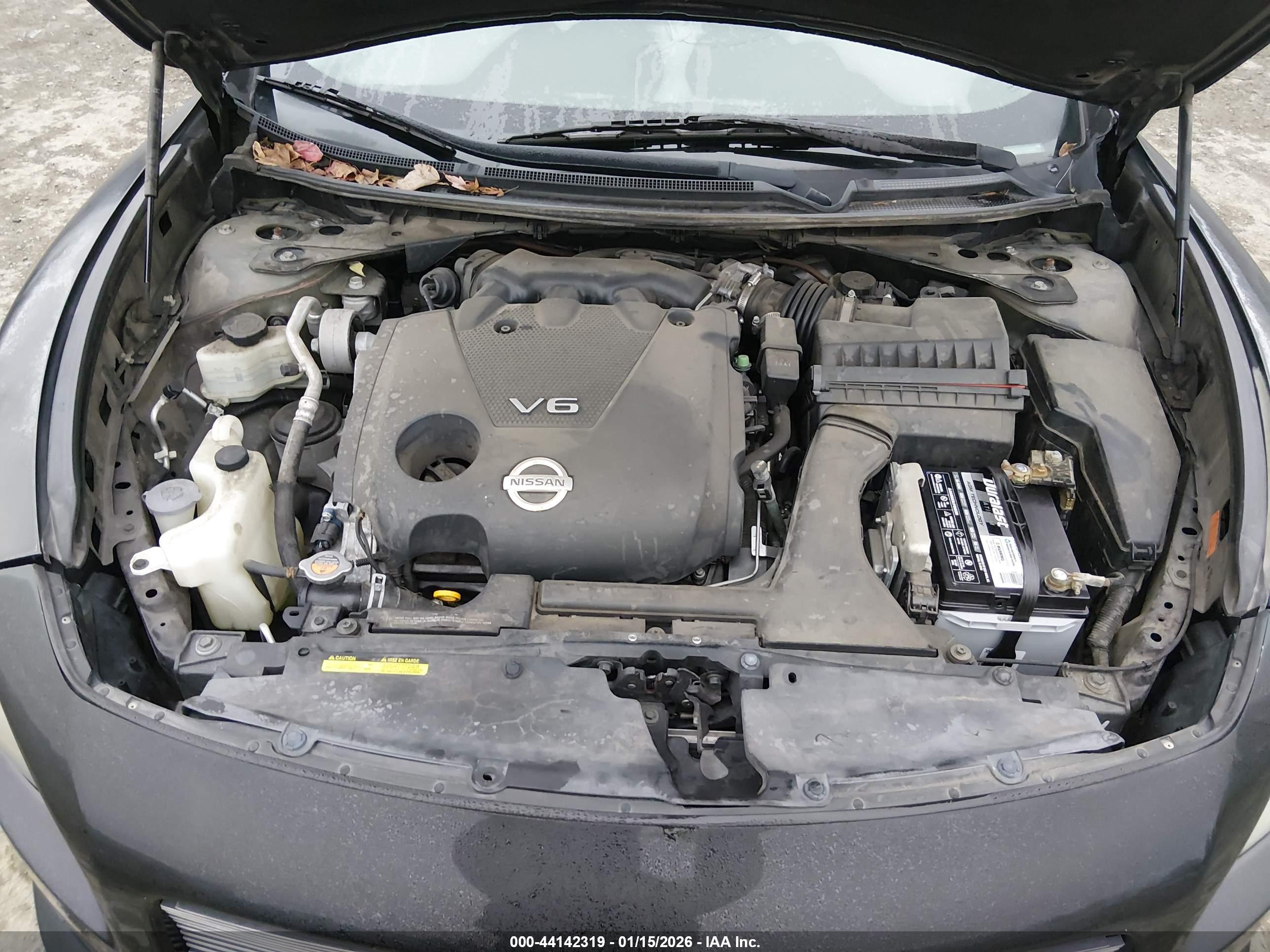 NISSAN MAXIMA image 10