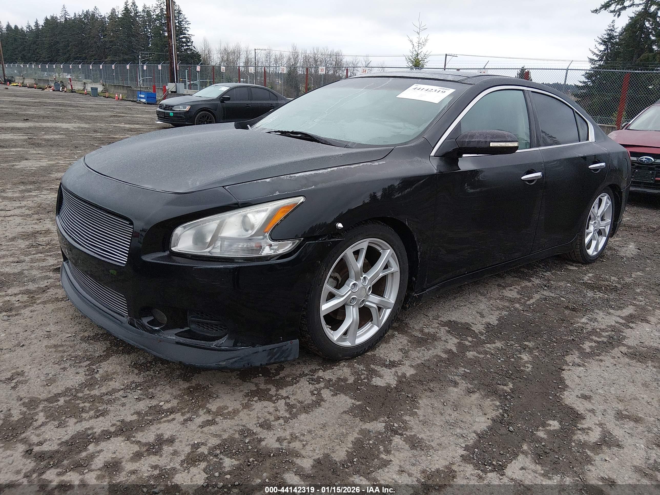 NISSAN MAXIMA image 2