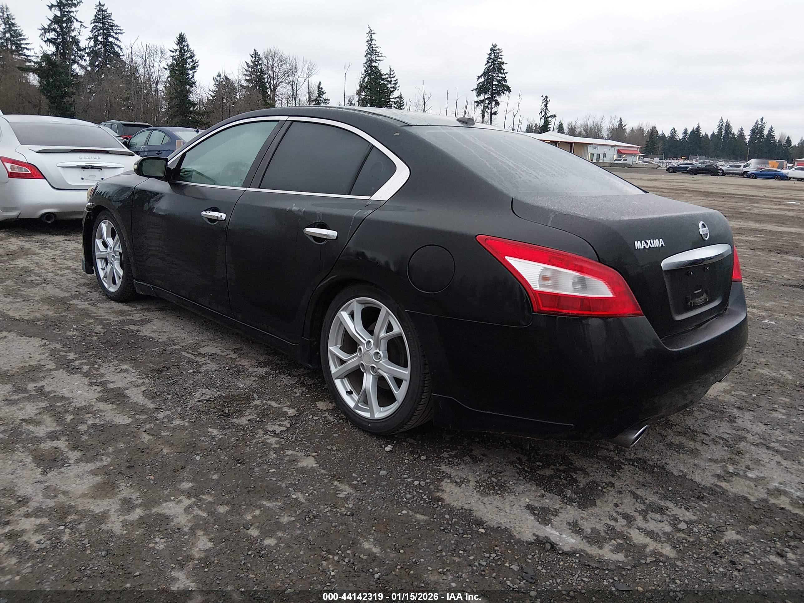 NISSAN MAXIMA image 3