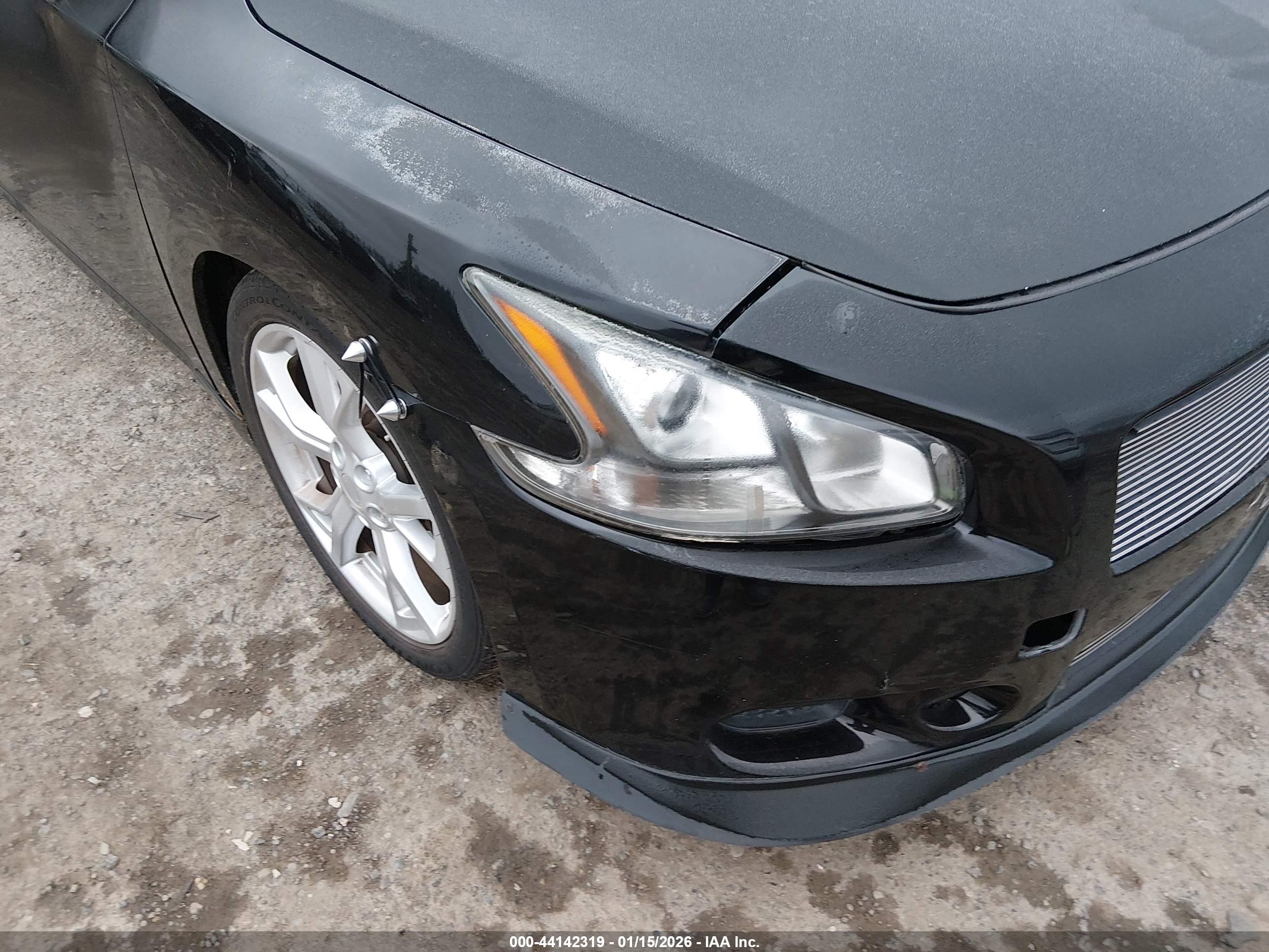 NISSAN MAXIMA image 6