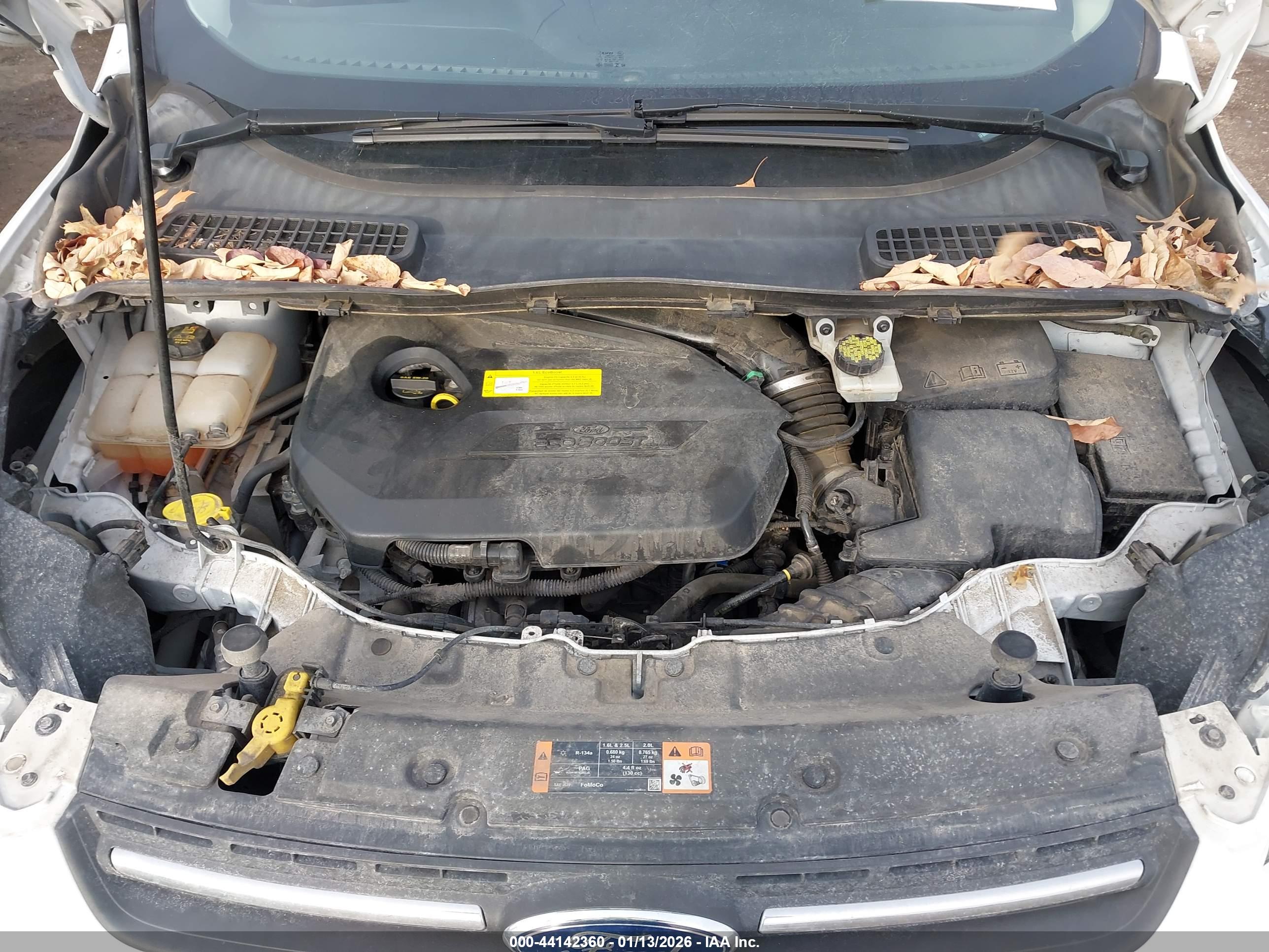 FORD ESCAPE image 10