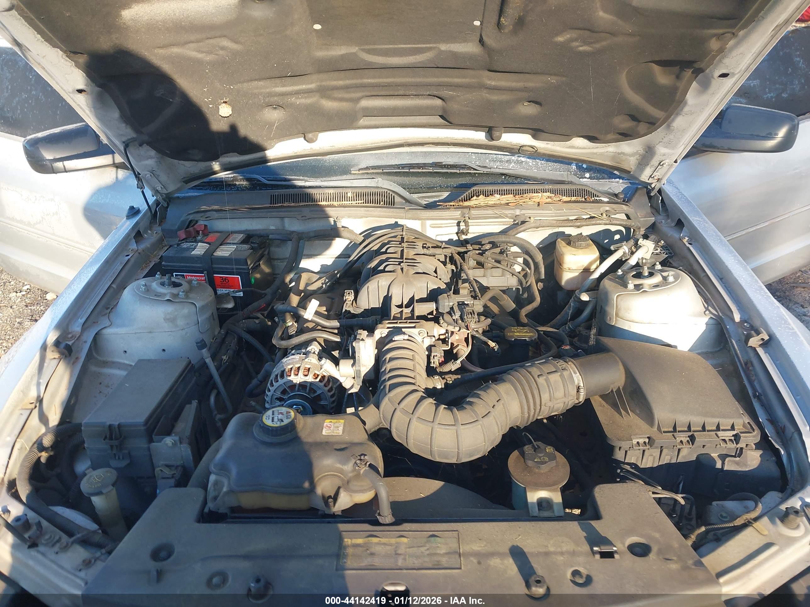 FORD MUSTANG image 10