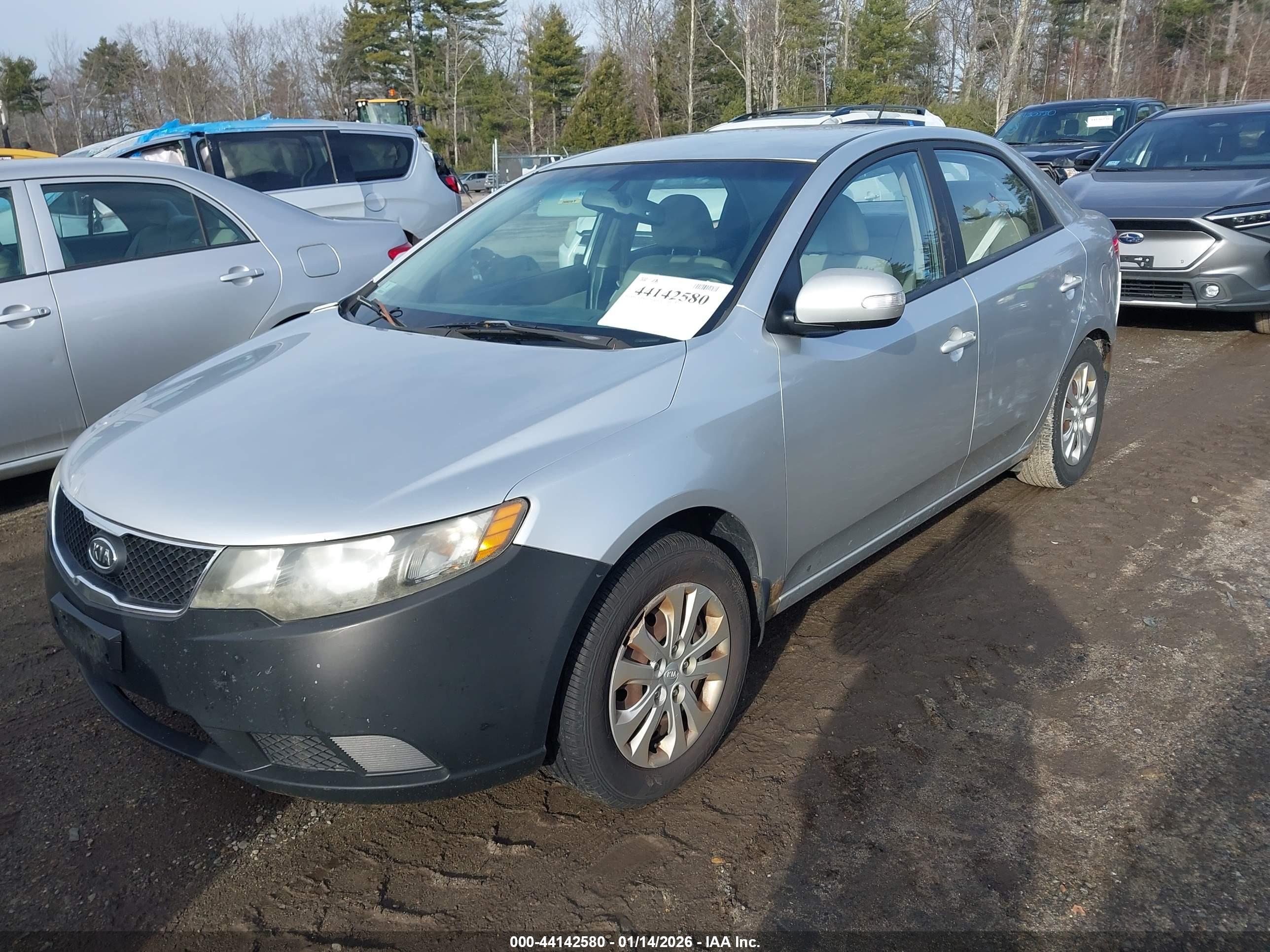 KIA FORTE image 2