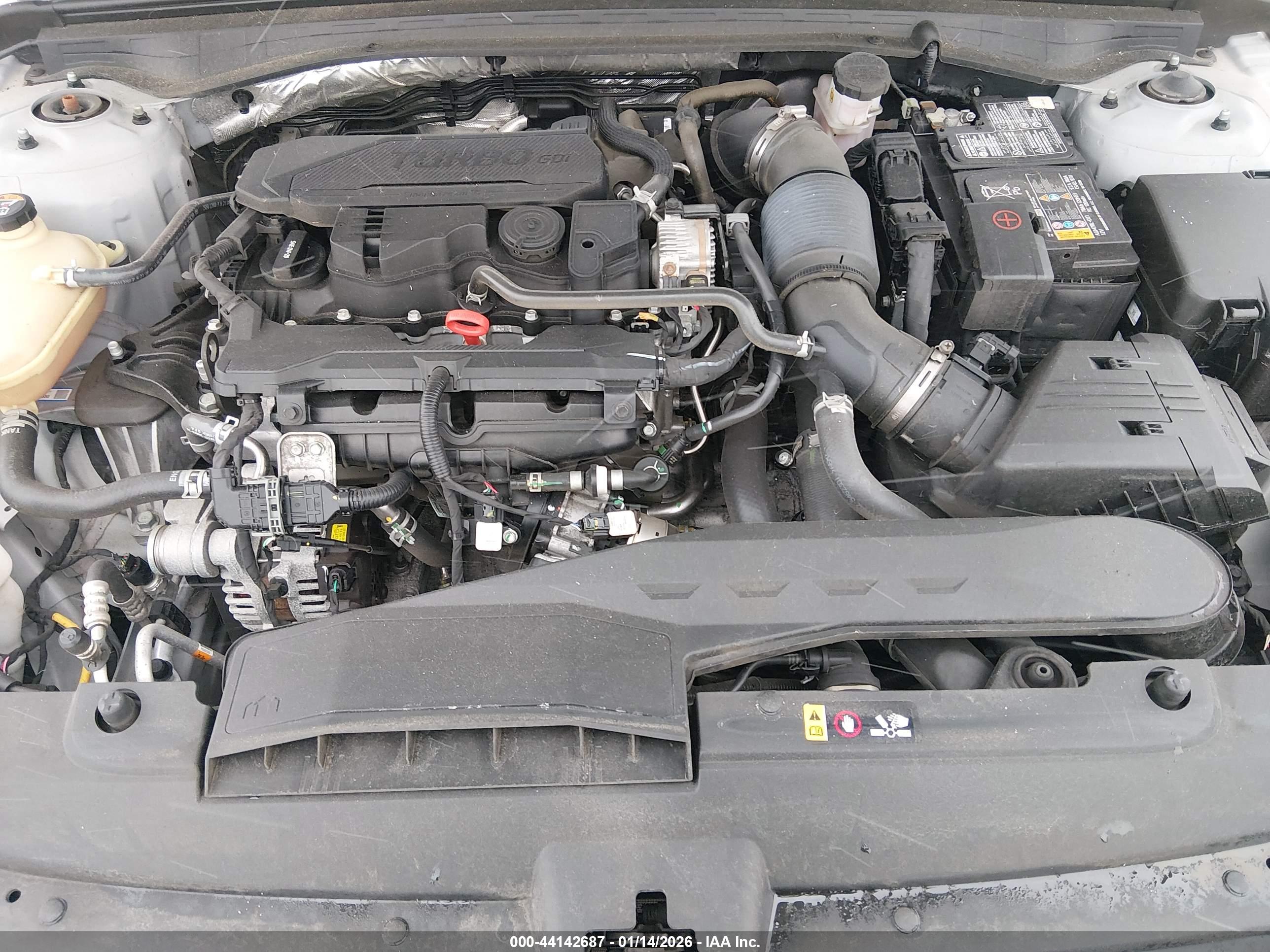 KIA K5 image 10