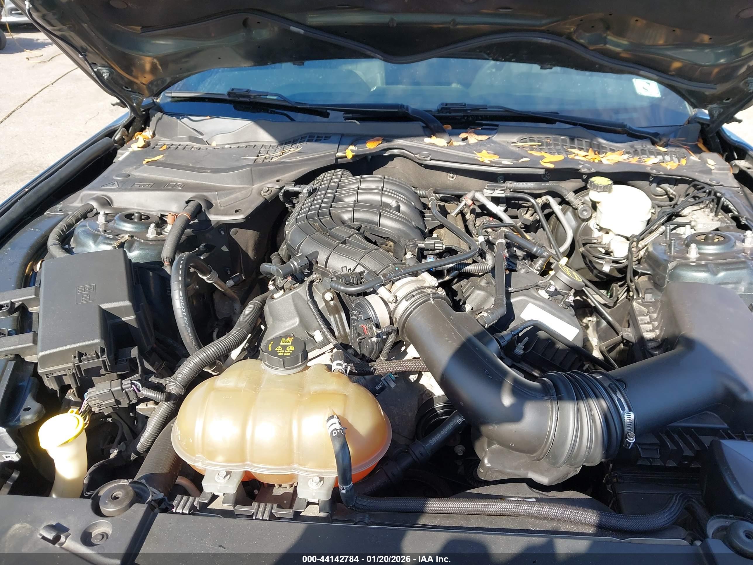 FORD MUSTANG image 10