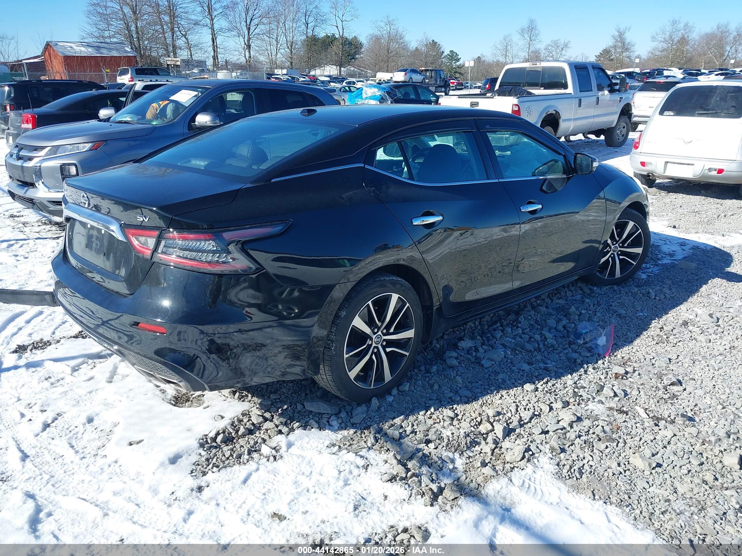NISSAN MAXIMA image 4