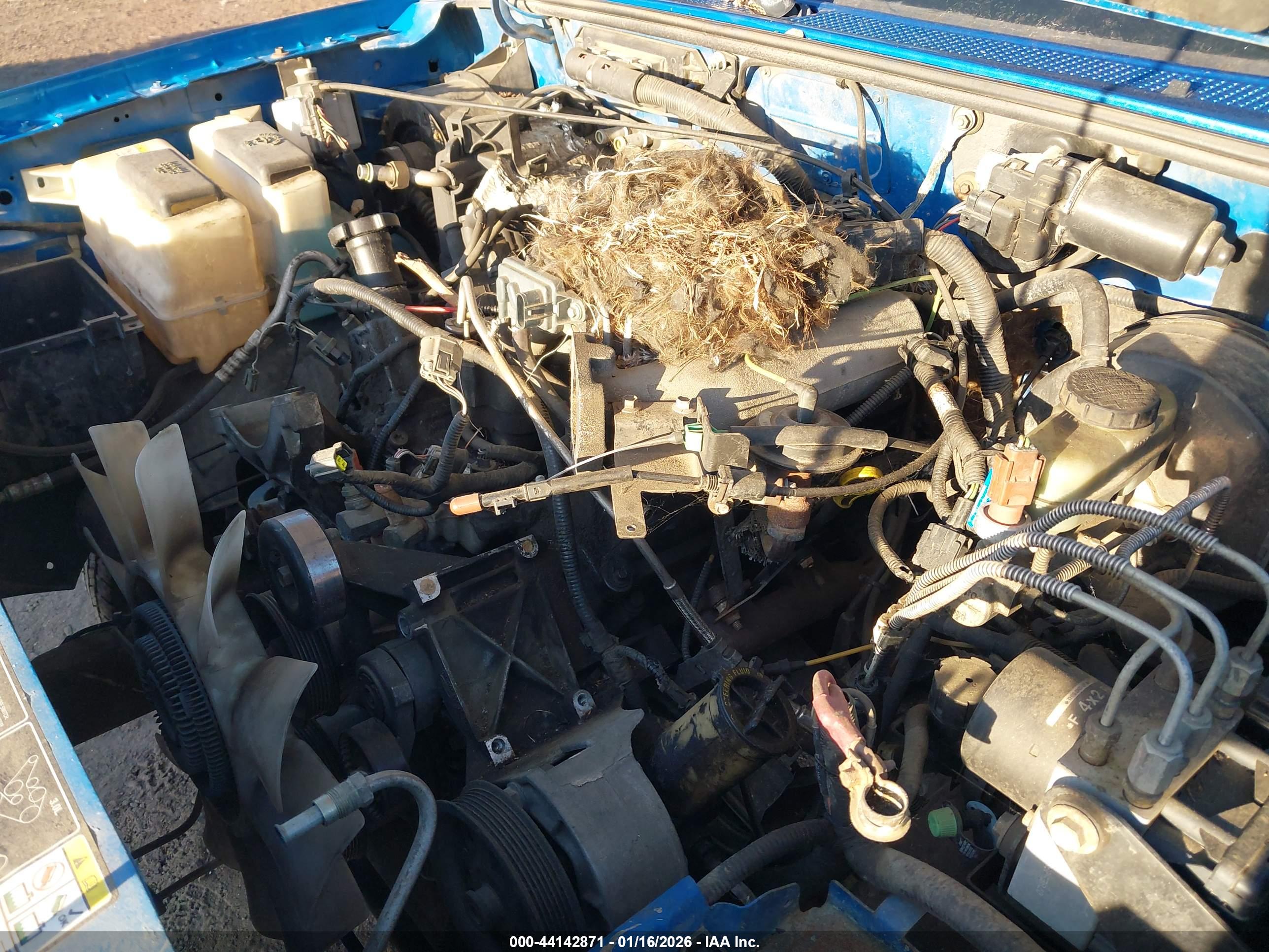 FORD RANGER image 6