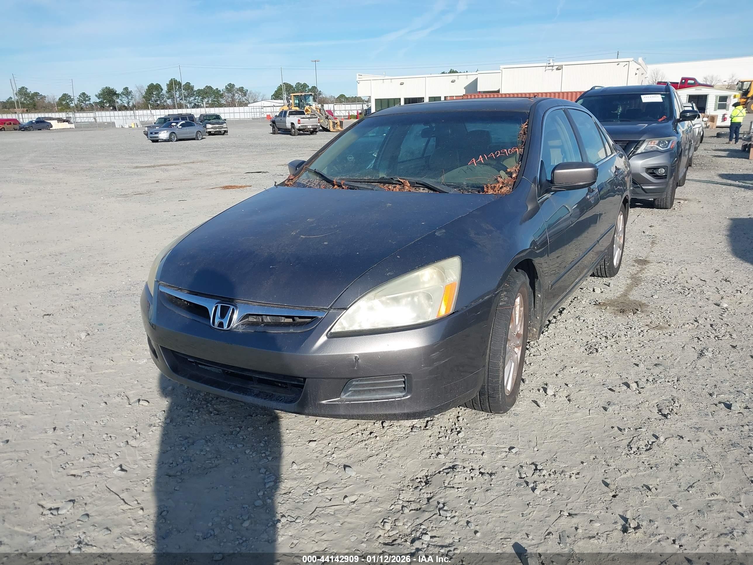 HONDA ACCORD image 6