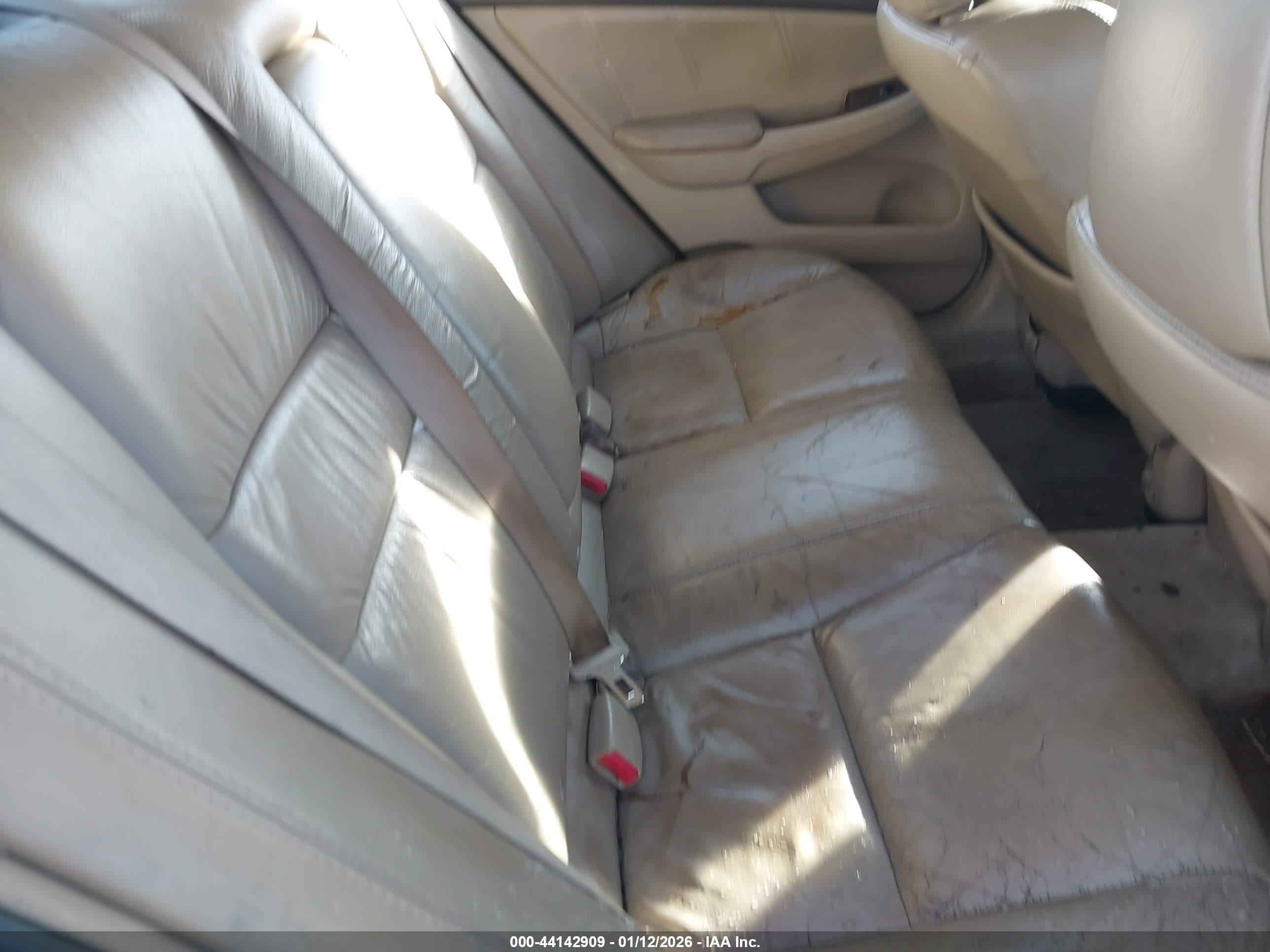 HONDA ACCORD image 8