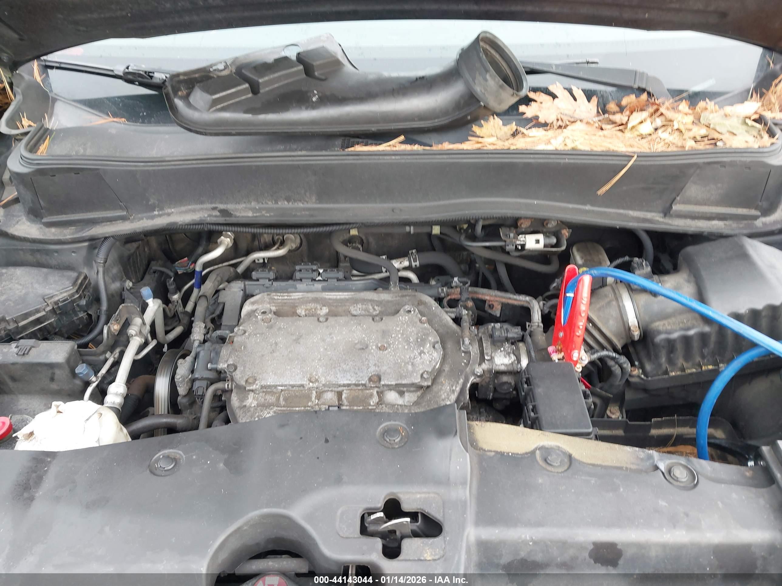 HONDA PILOT image 10
