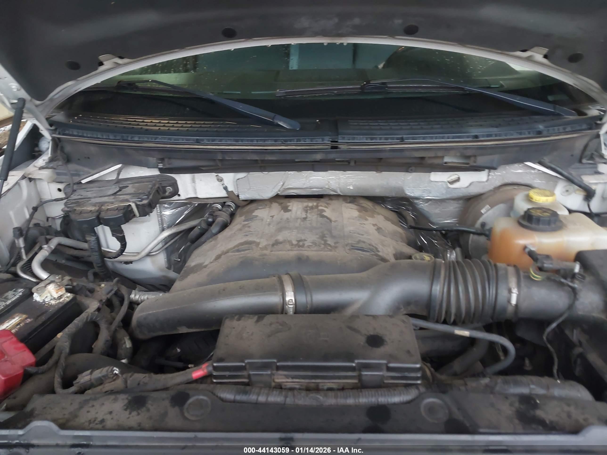 FORD F-150 image 10