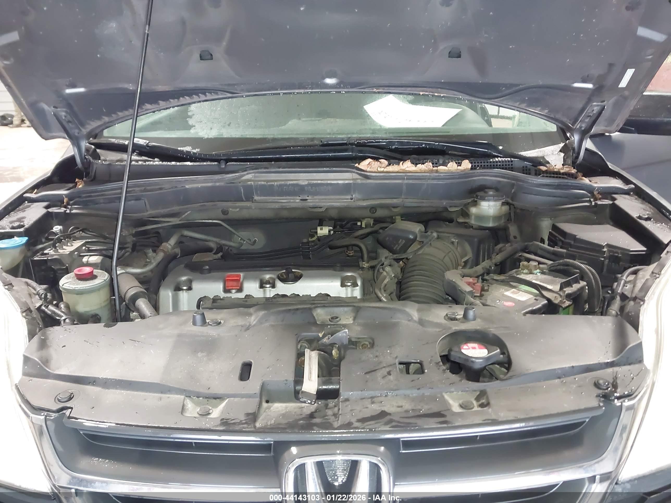 HONDA CR-V image 10