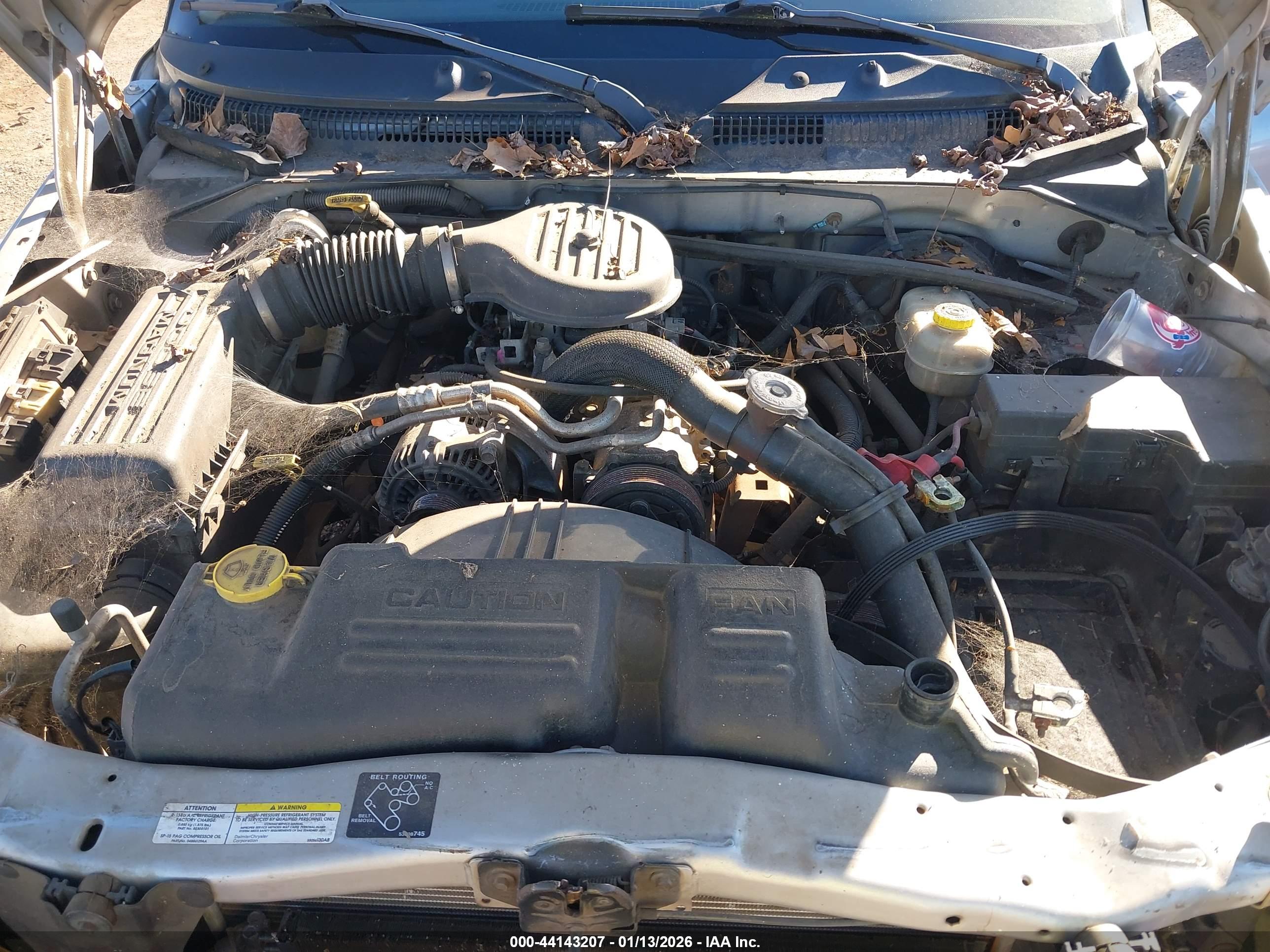 DODGE DAKOTA image 10