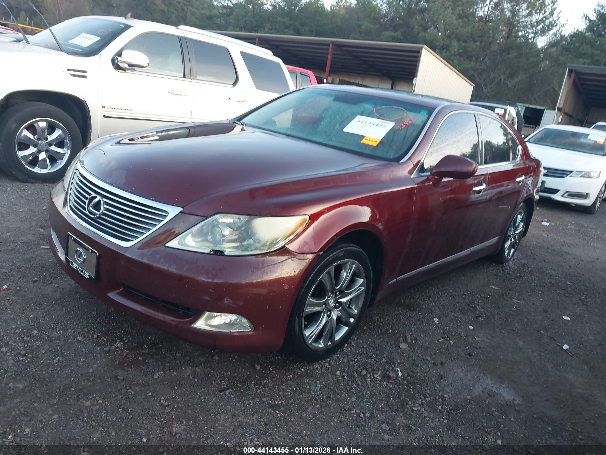 LEXUS LS image 2