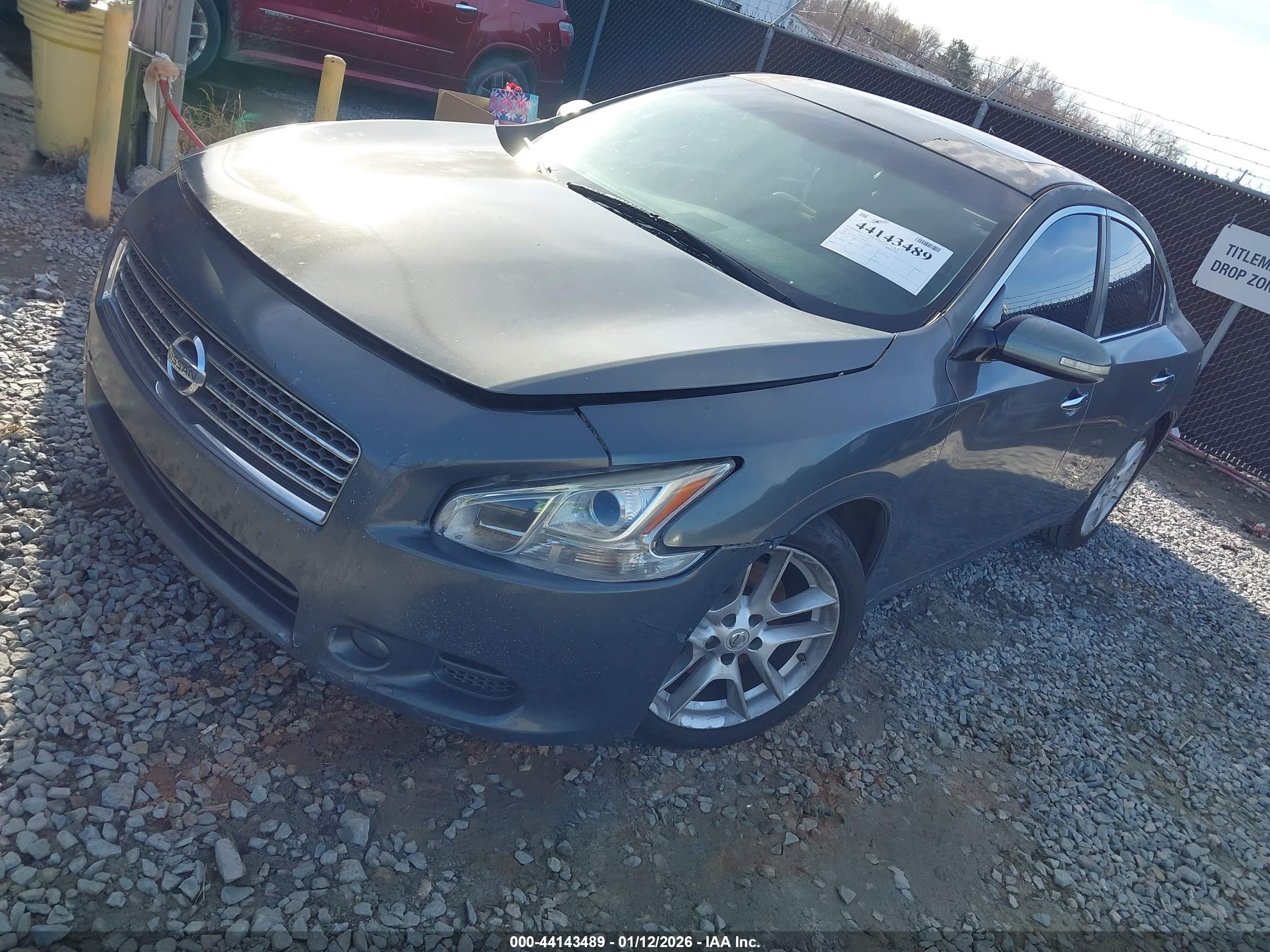 NISSAN MAXIMA image 2