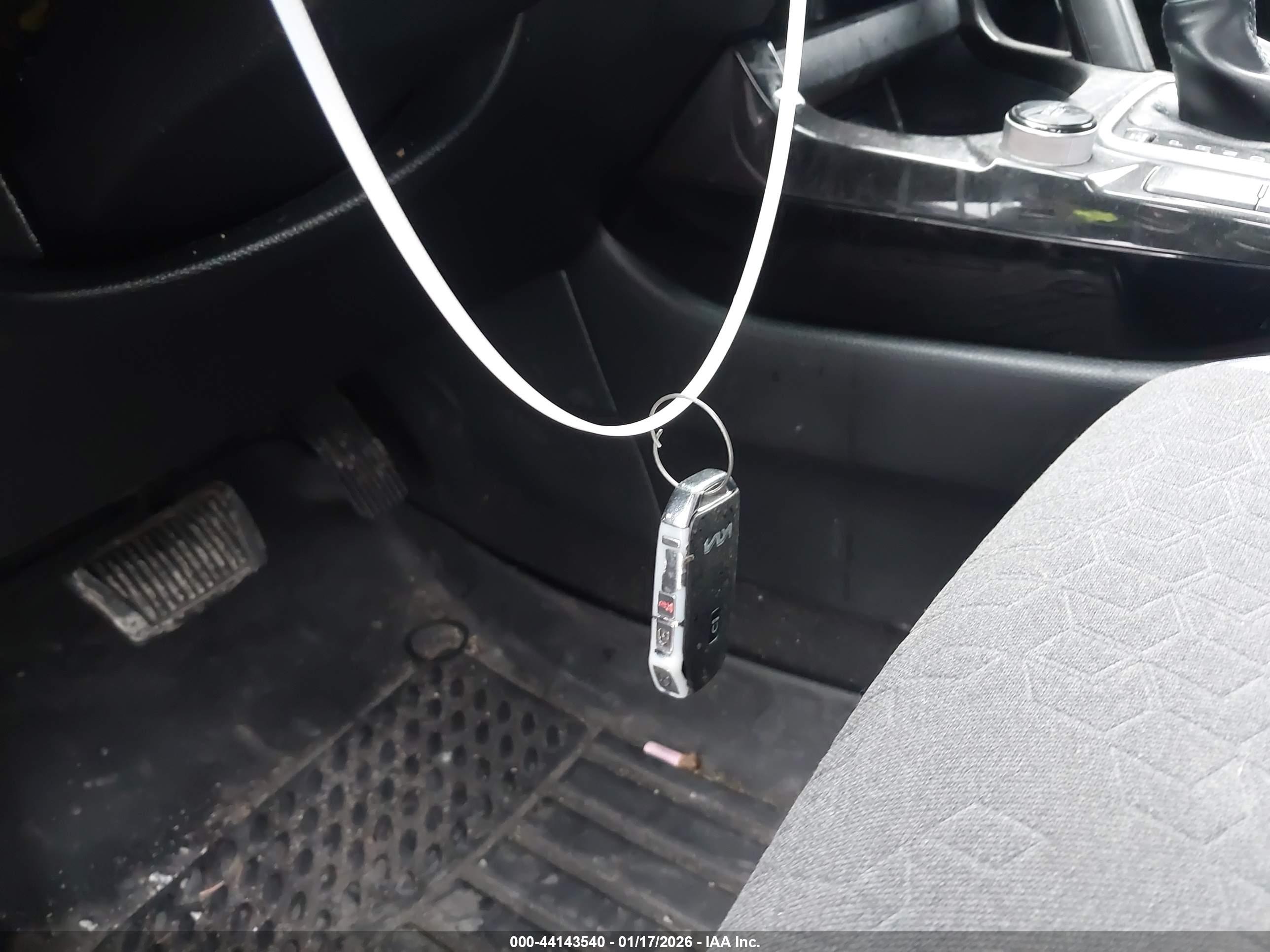 KIA SELTOS image 11