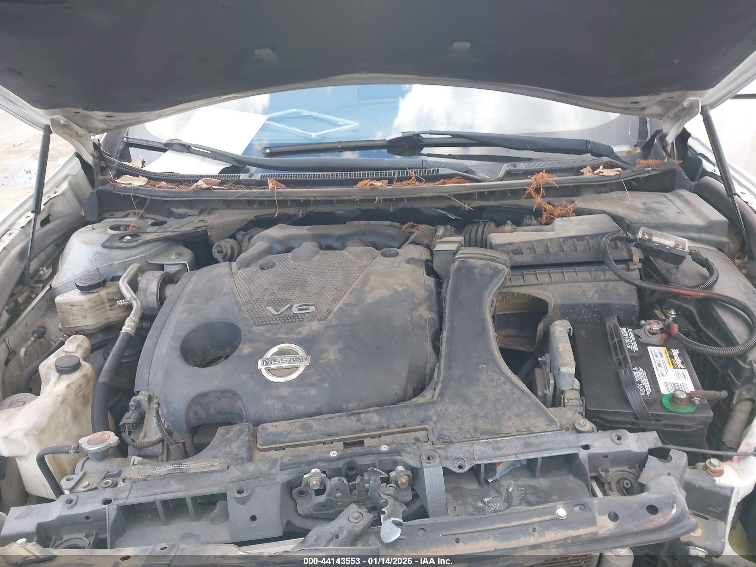 NISSAN MAXIMA image 10