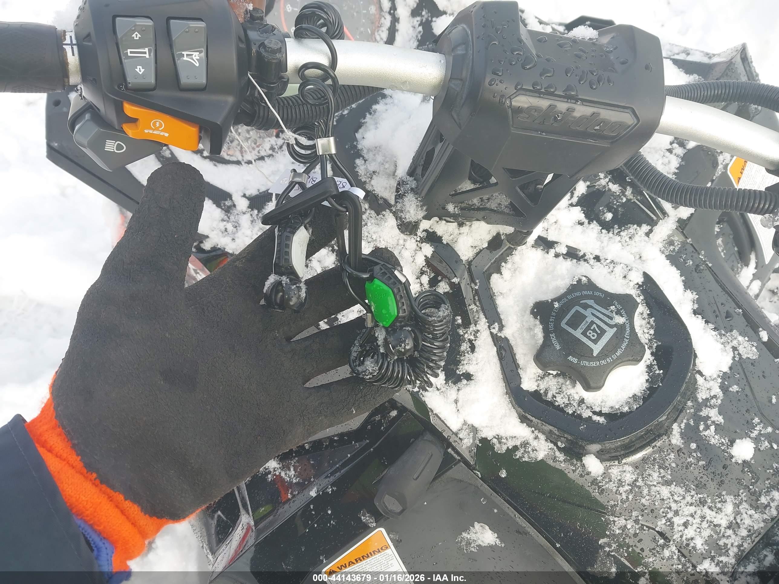 SKID MXZ image 11
