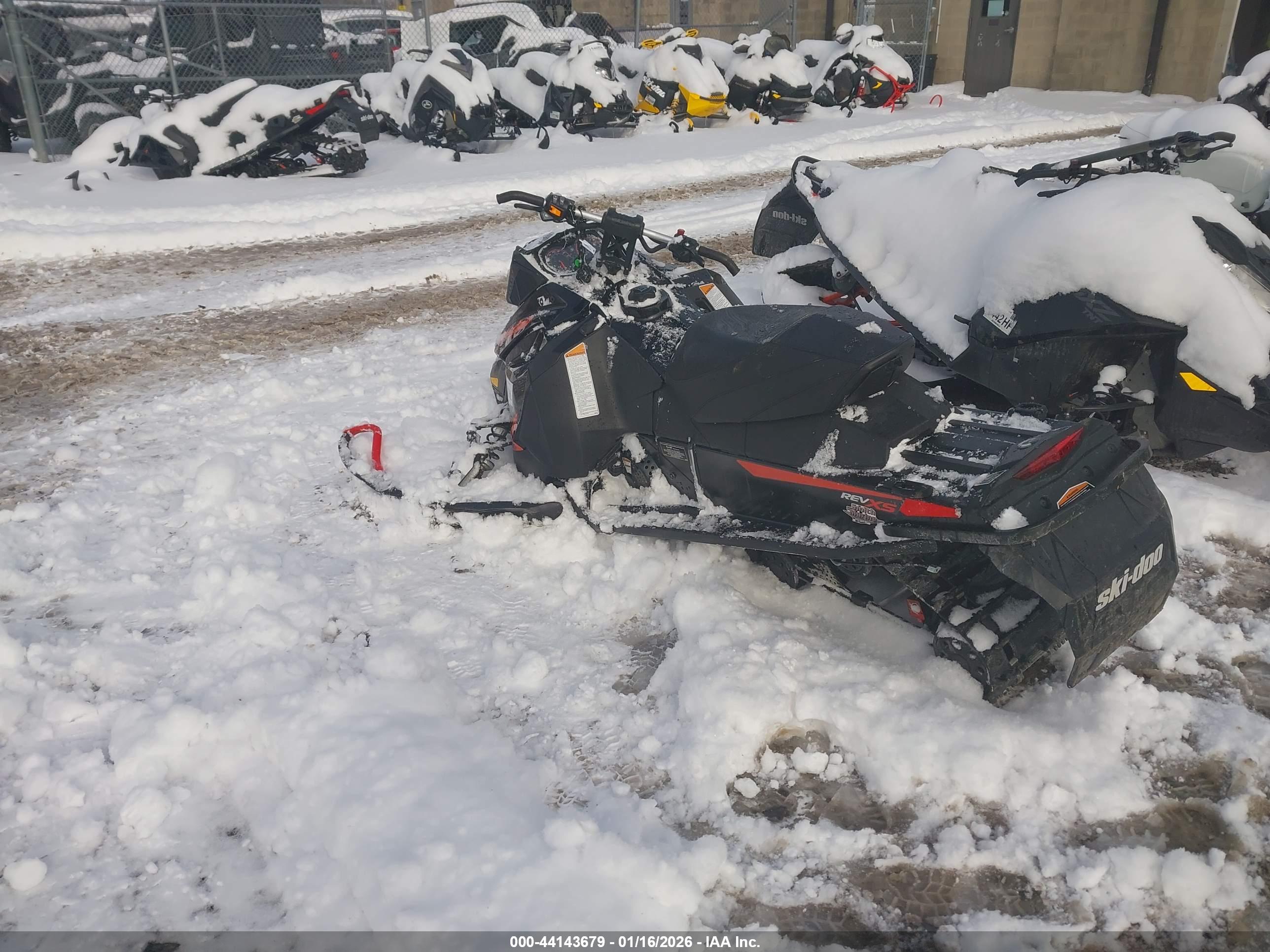 SKID MXZ image 3