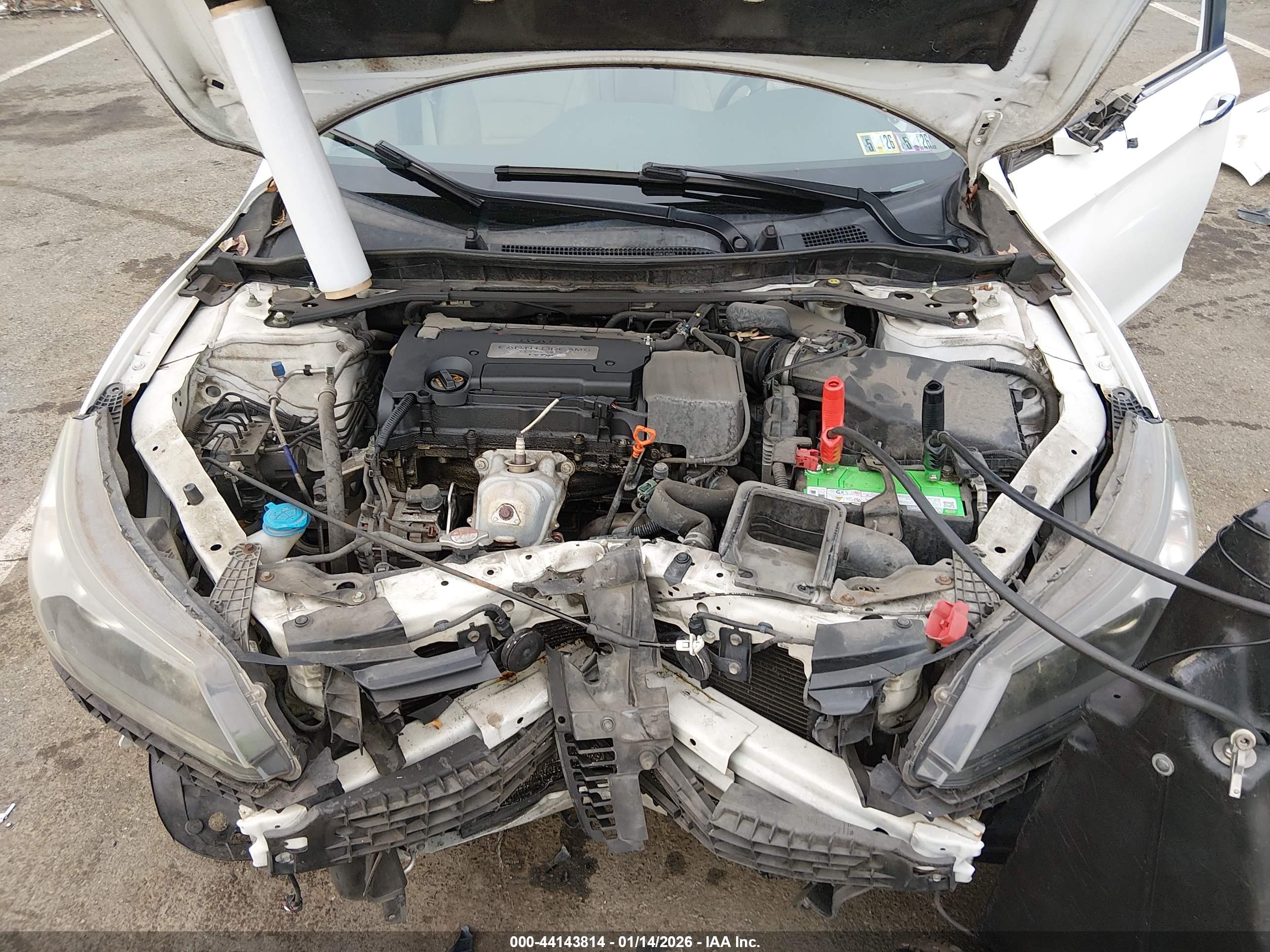 HONDA ACCORD image 10