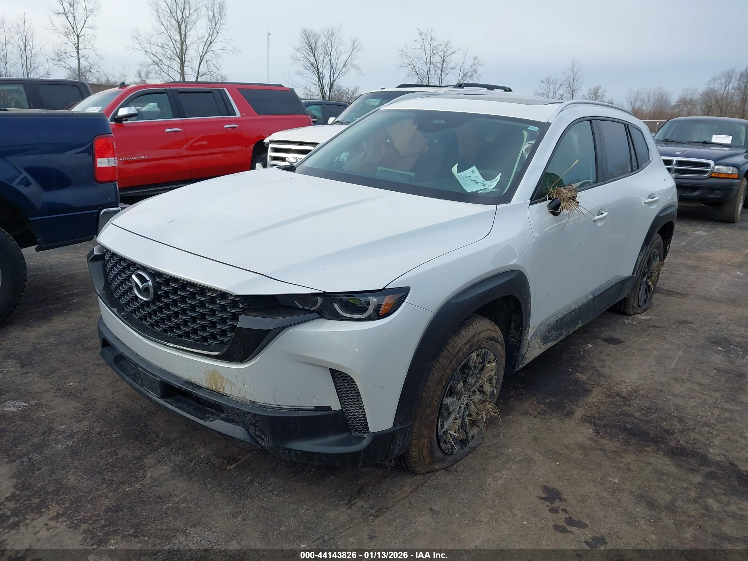 MAZDA CX-50 image 2