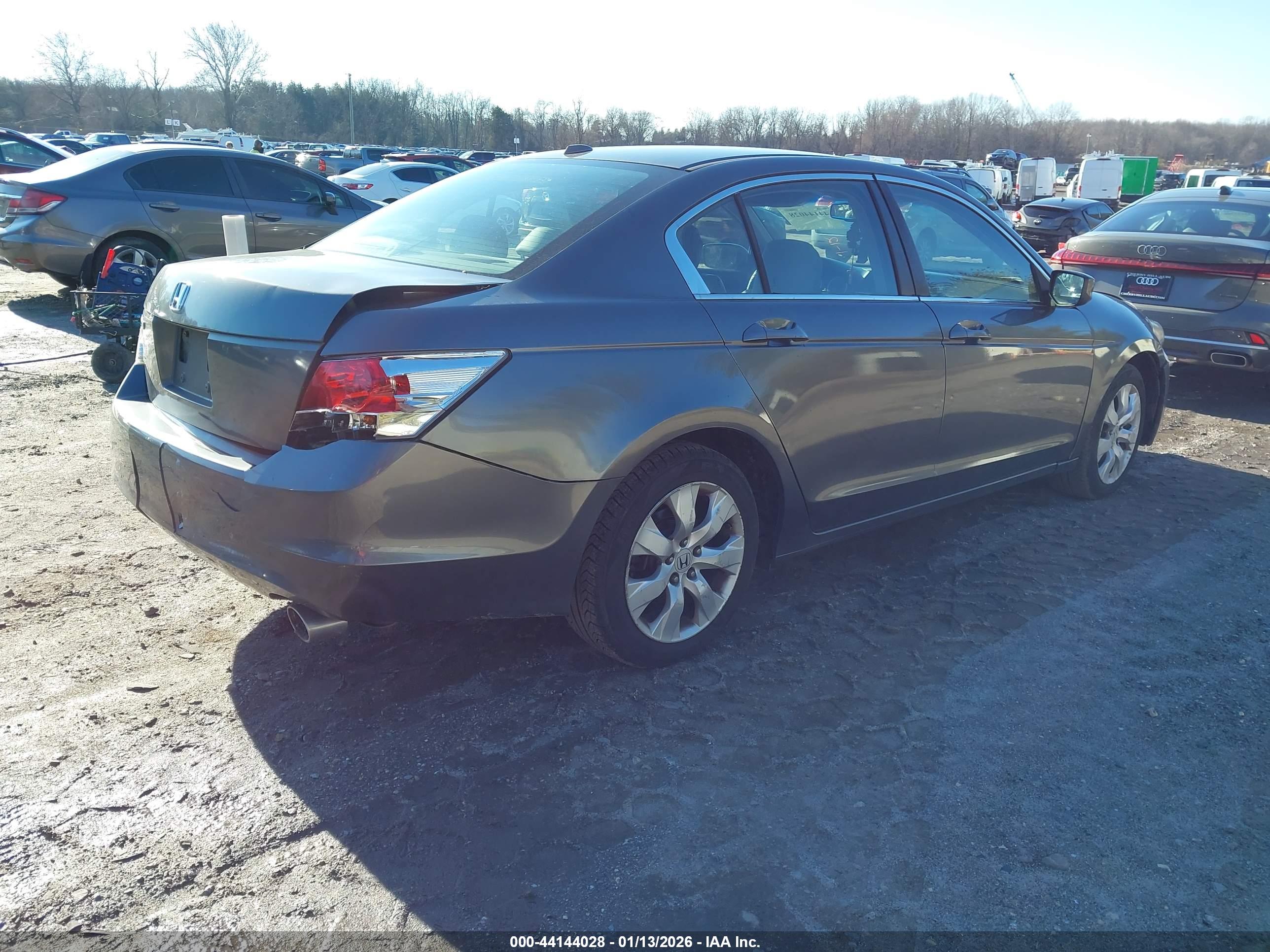 HONDA ACCORD image 4