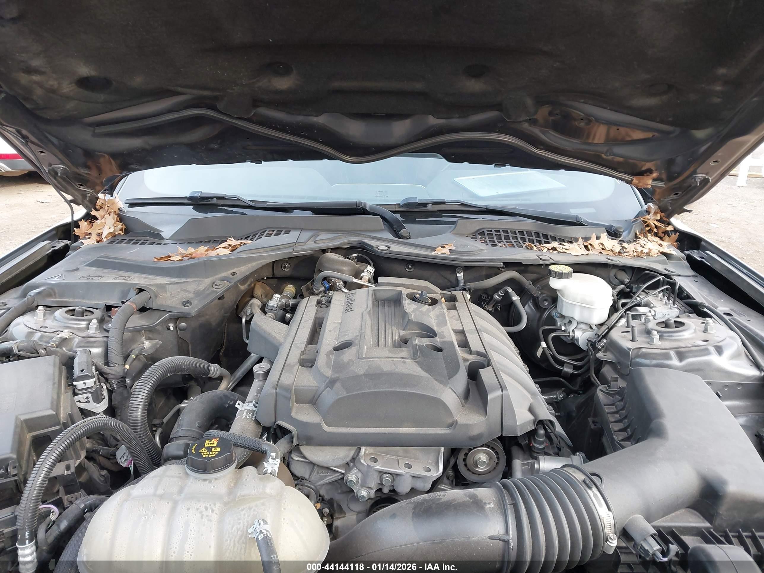 FORD MUSTANG image 10
