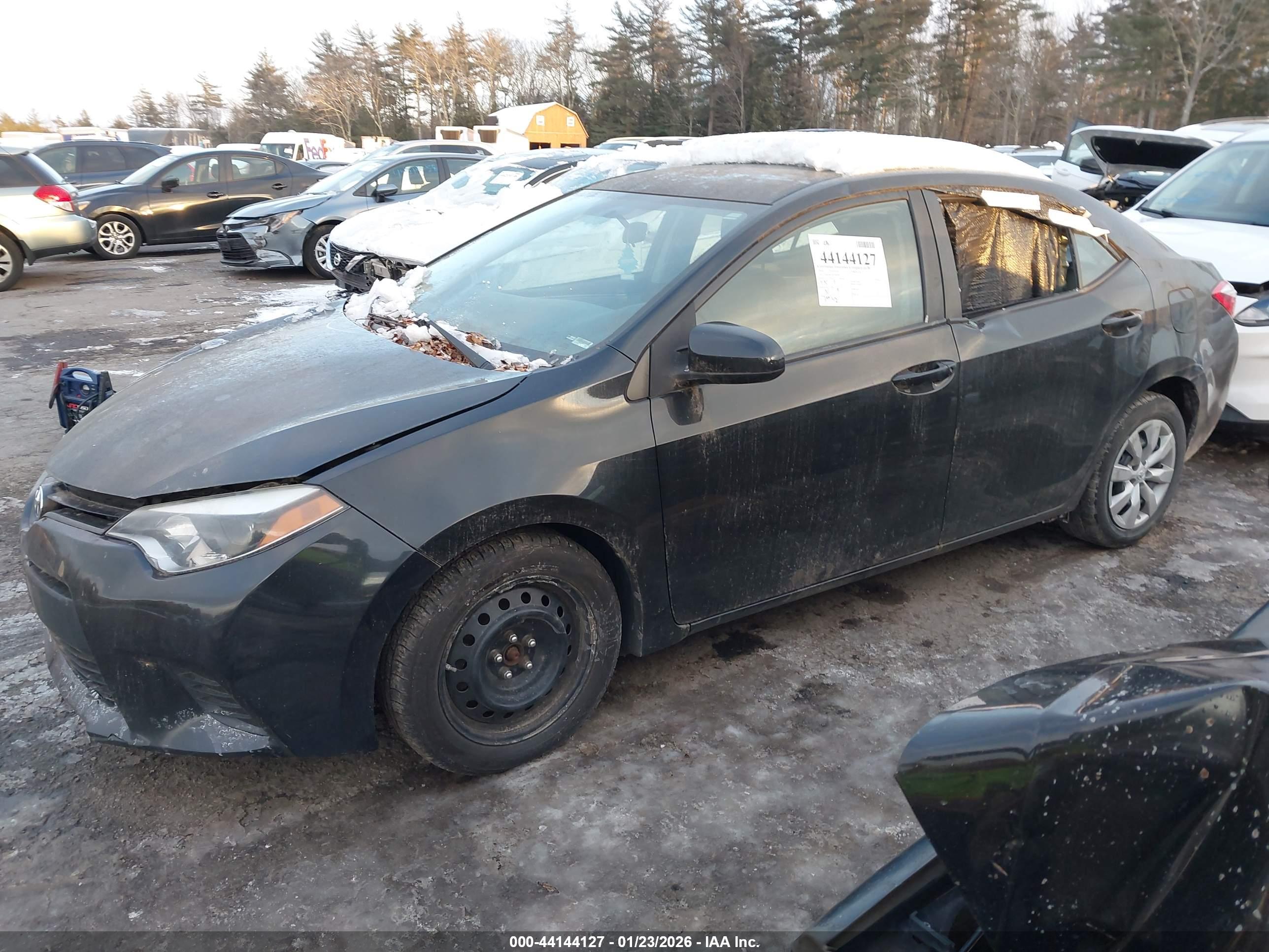 TOYOTA COROLLA image 2