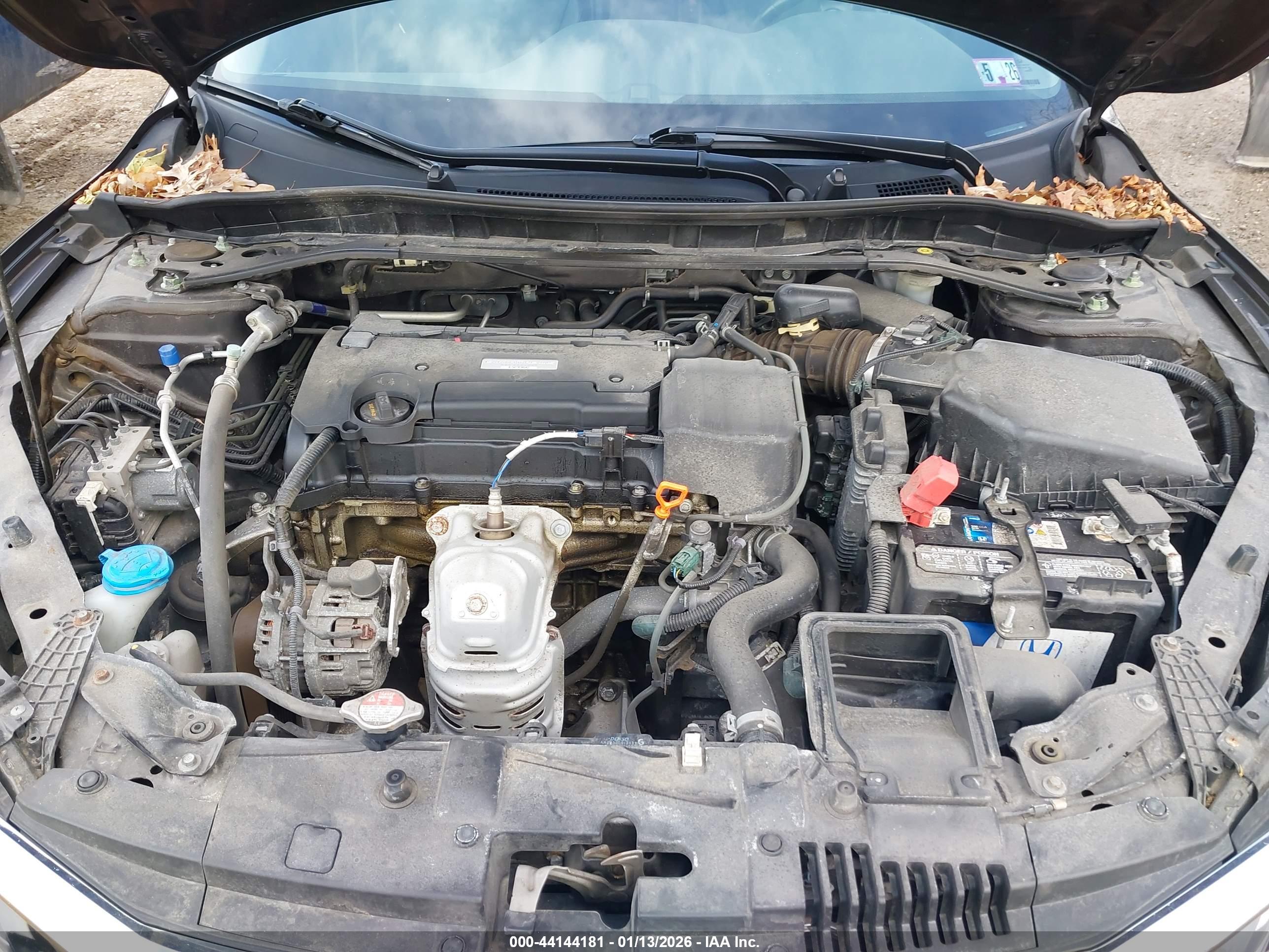HONDA ACCORD image 10
