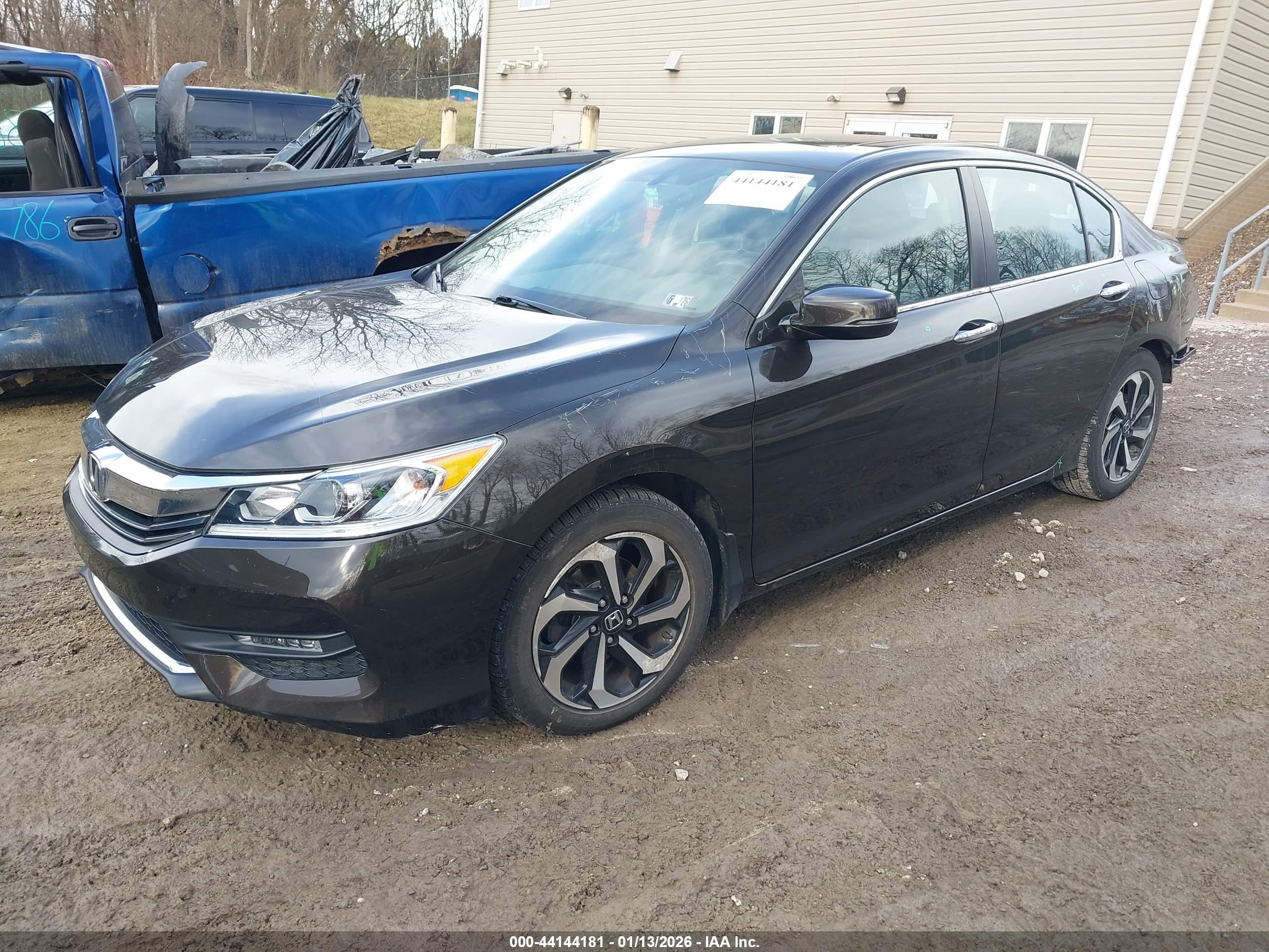 HONDA ACCORD image 2