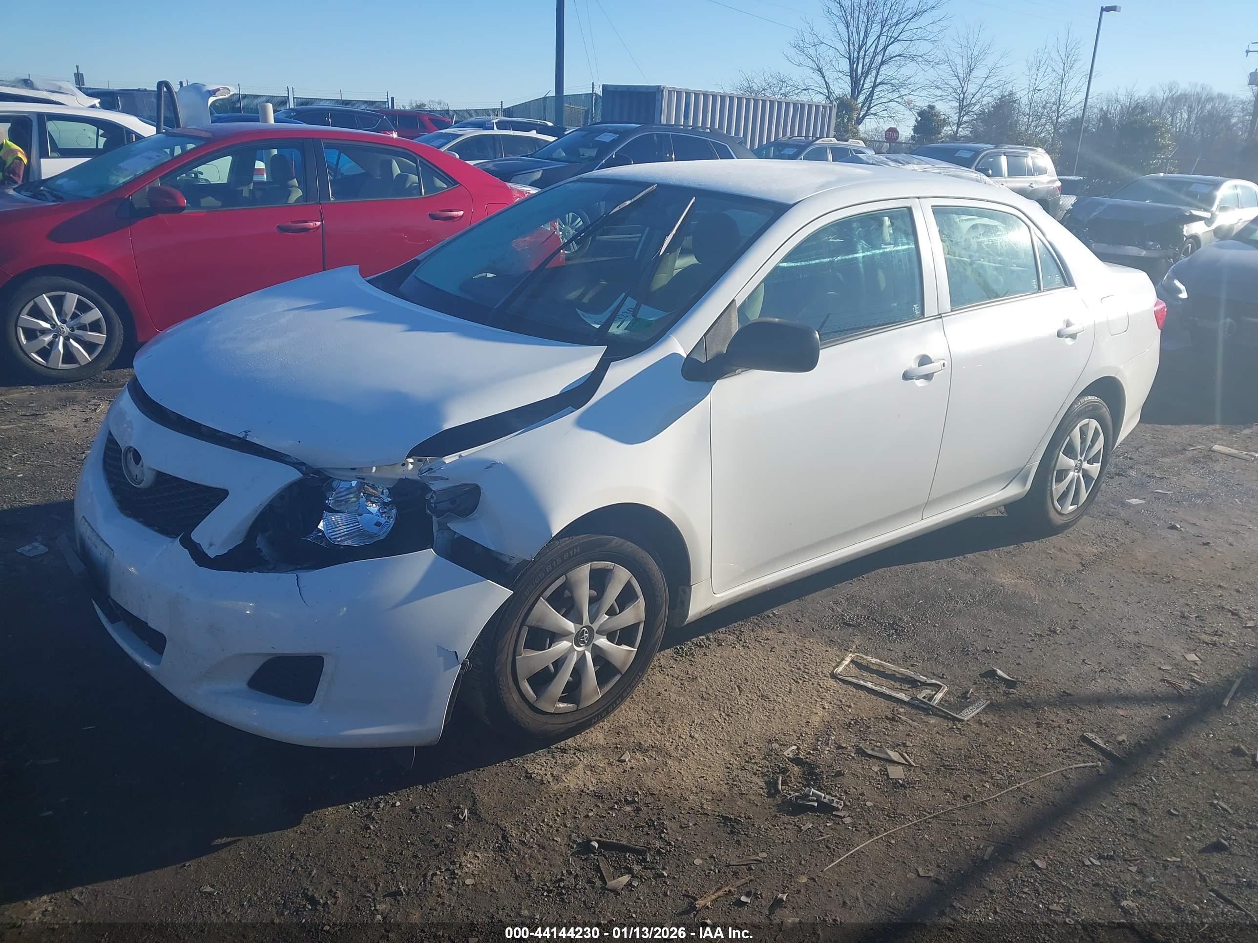 TOYOTA COROLLA image 2