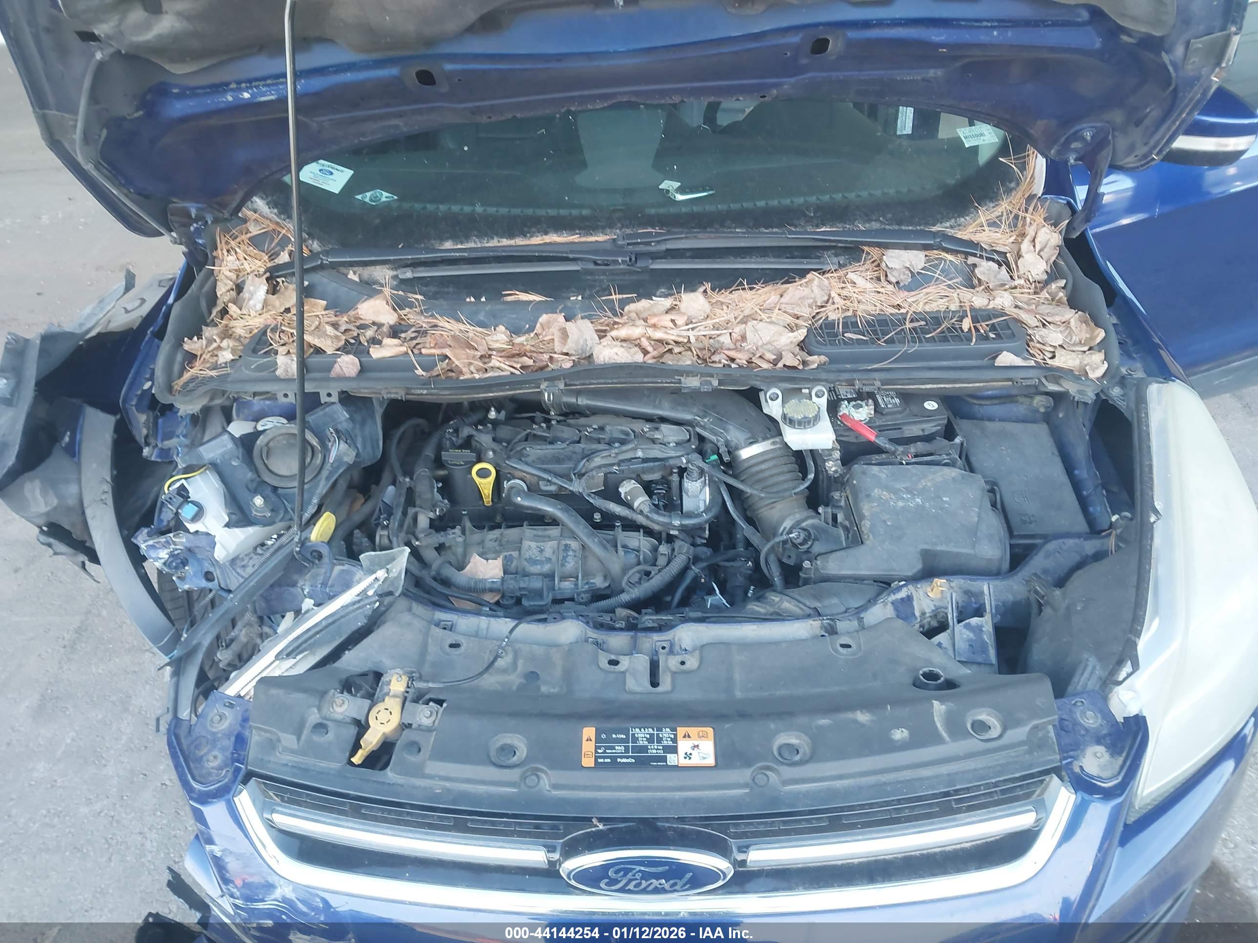 FORD ESCAPE image 10