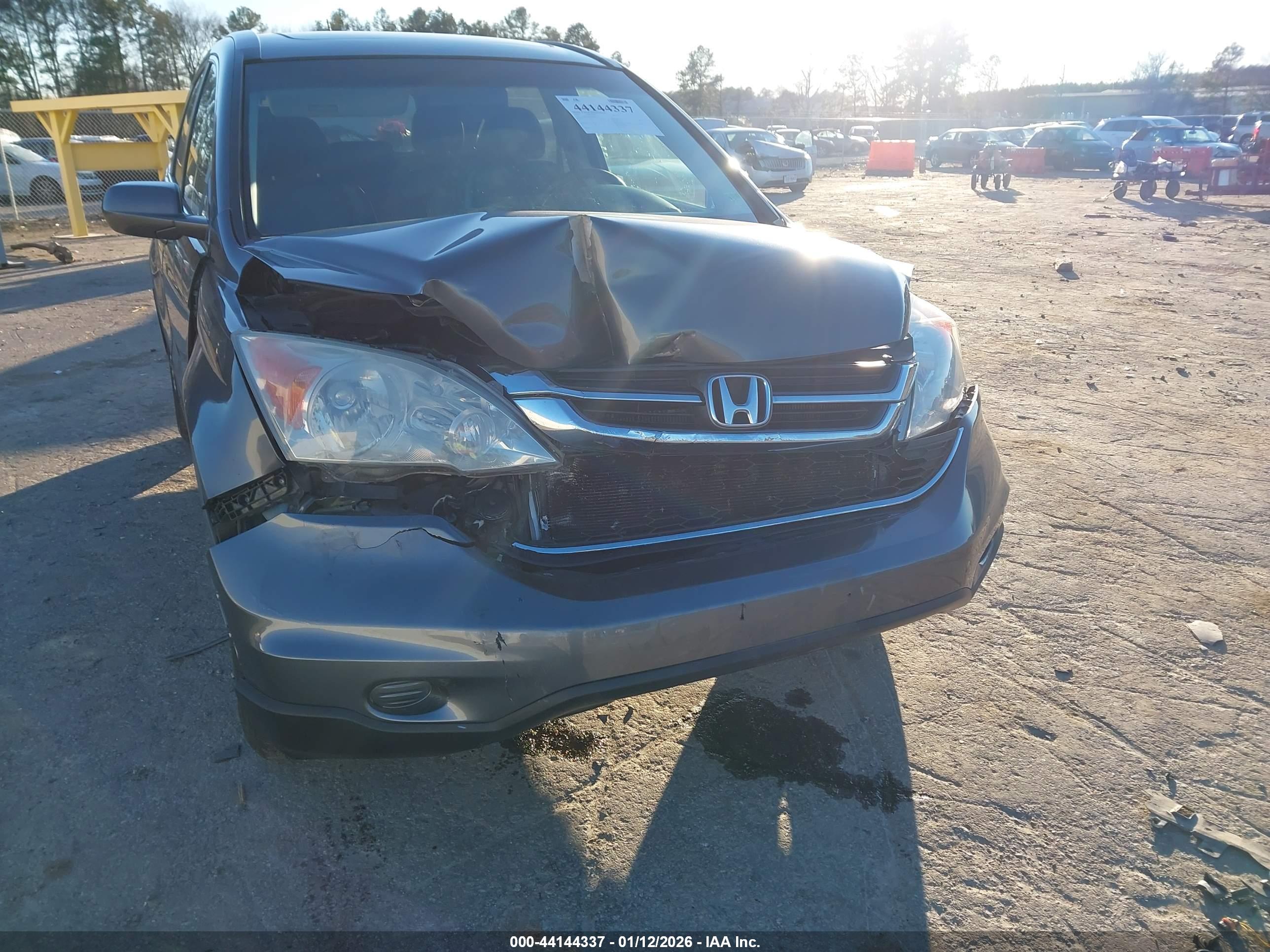 HONDA CR-V image 6