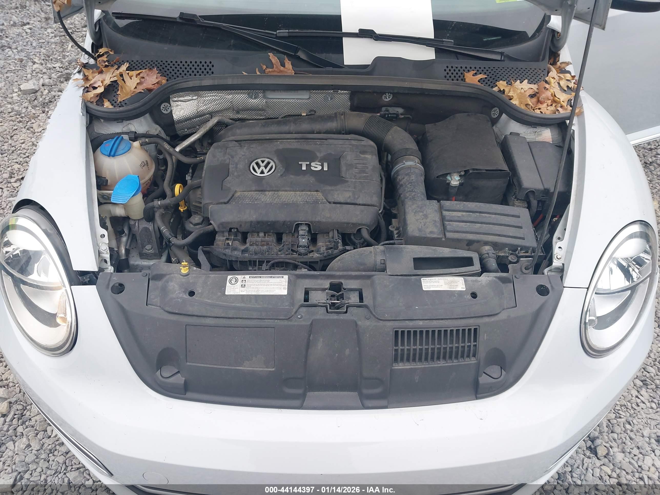 VOLKSWAGEN BEETLE image 10