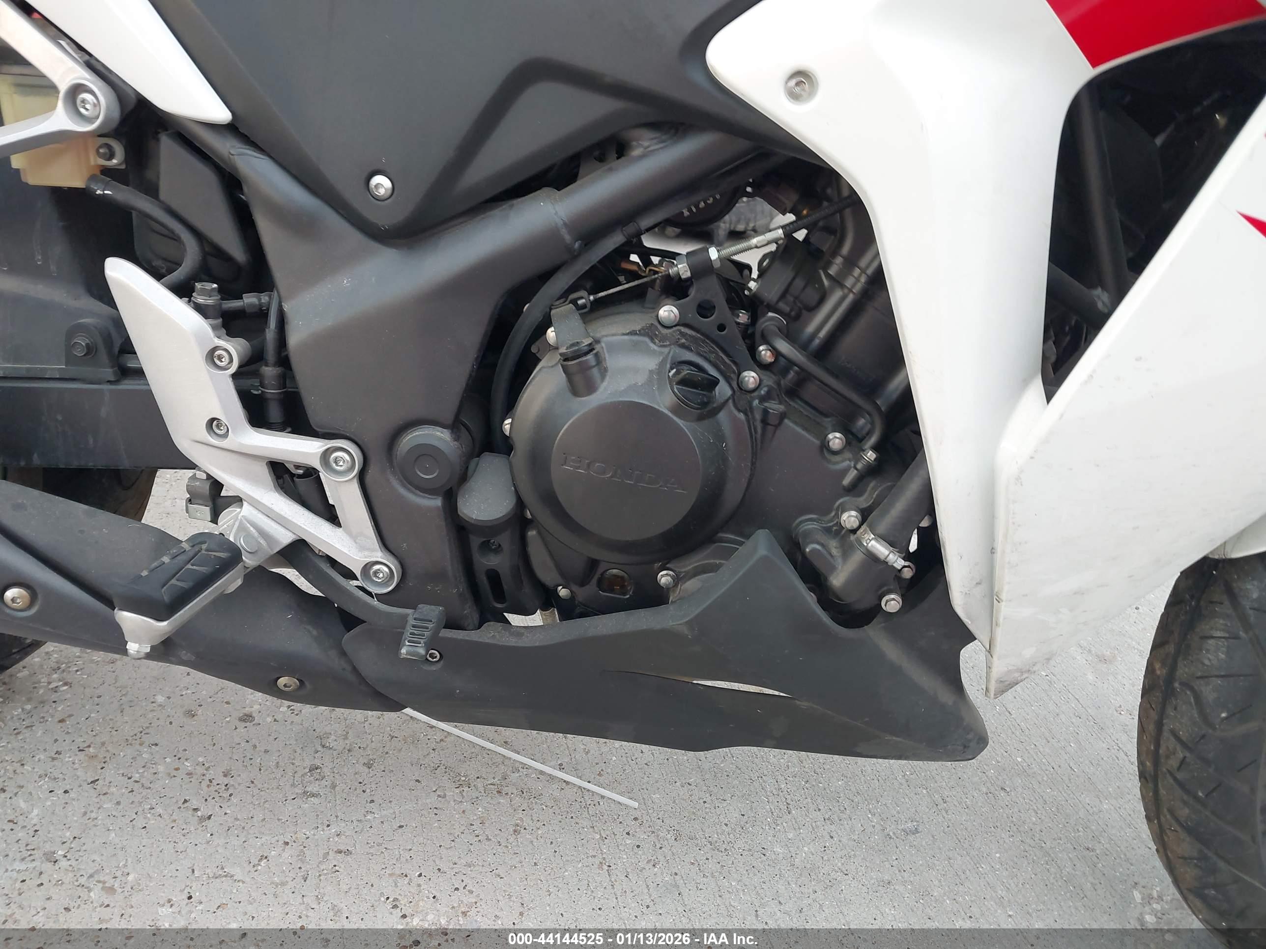 HONDA CBR250 image 8