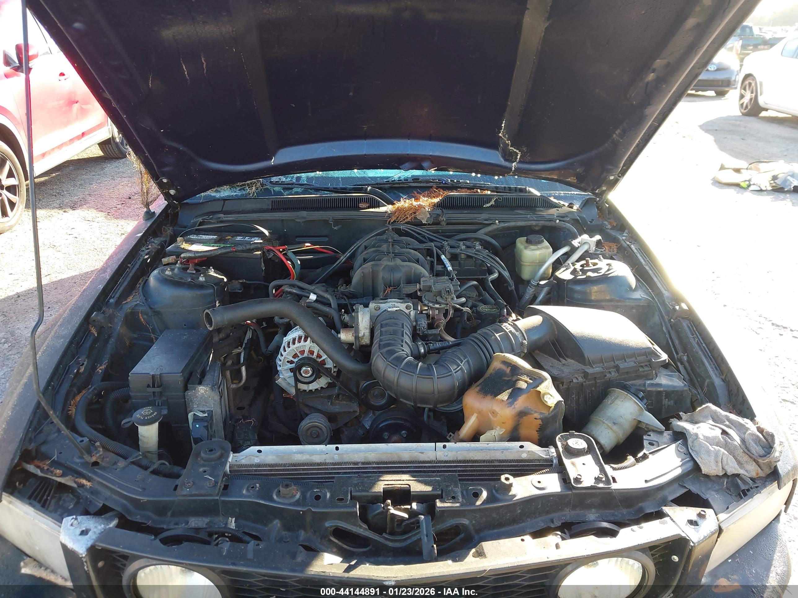 FORD MUSTANG image 10