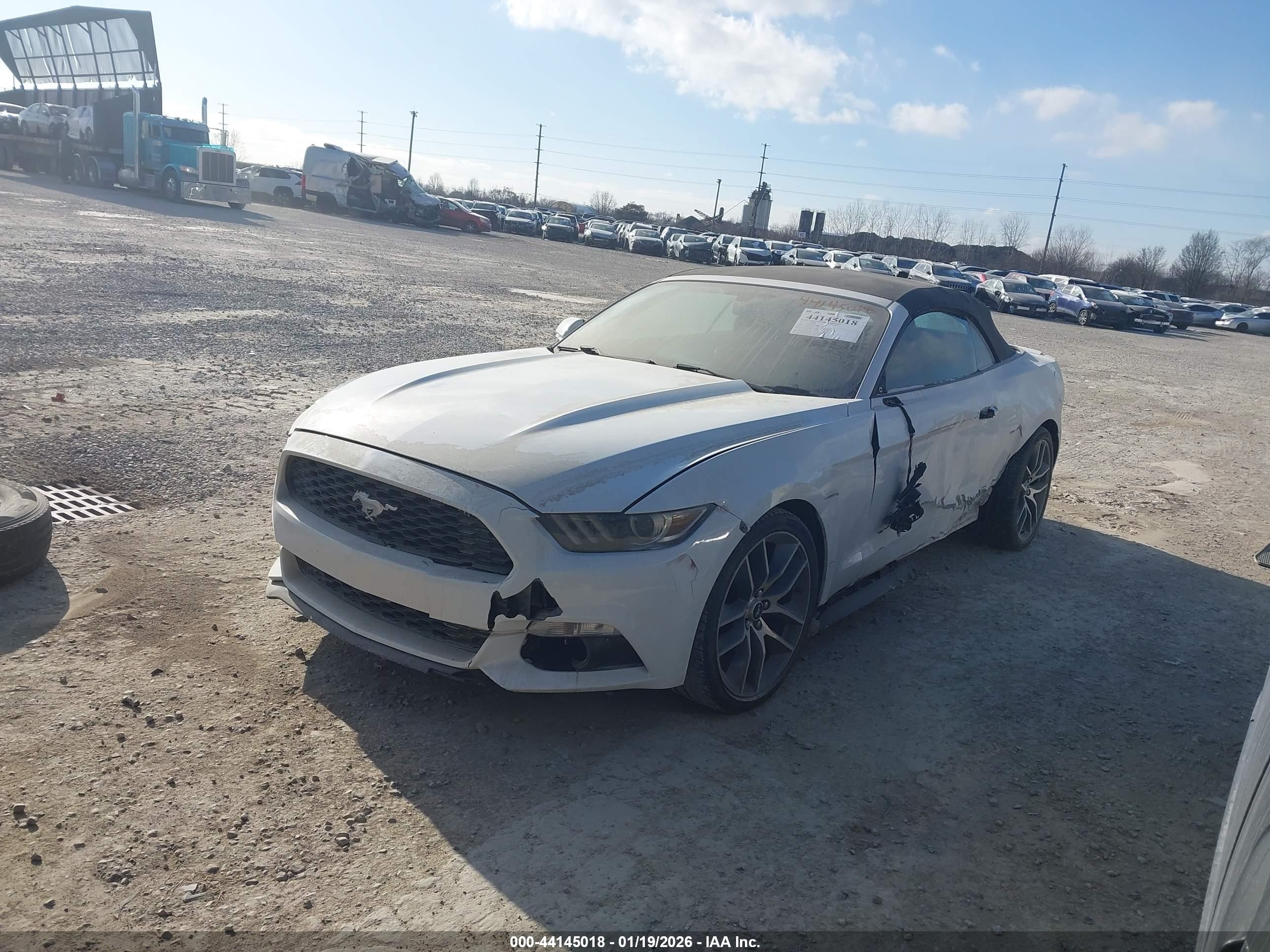 FORD MUSTANG image 2