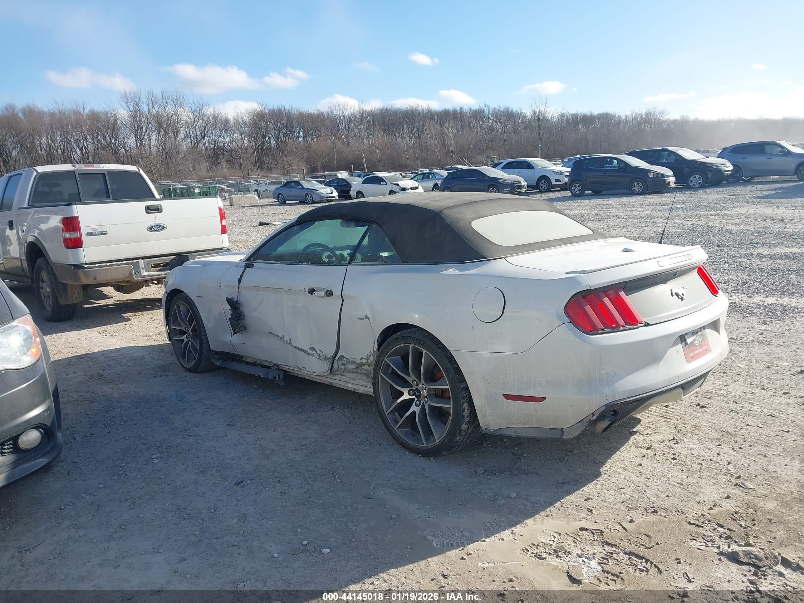 FORD MUSTANG image 3