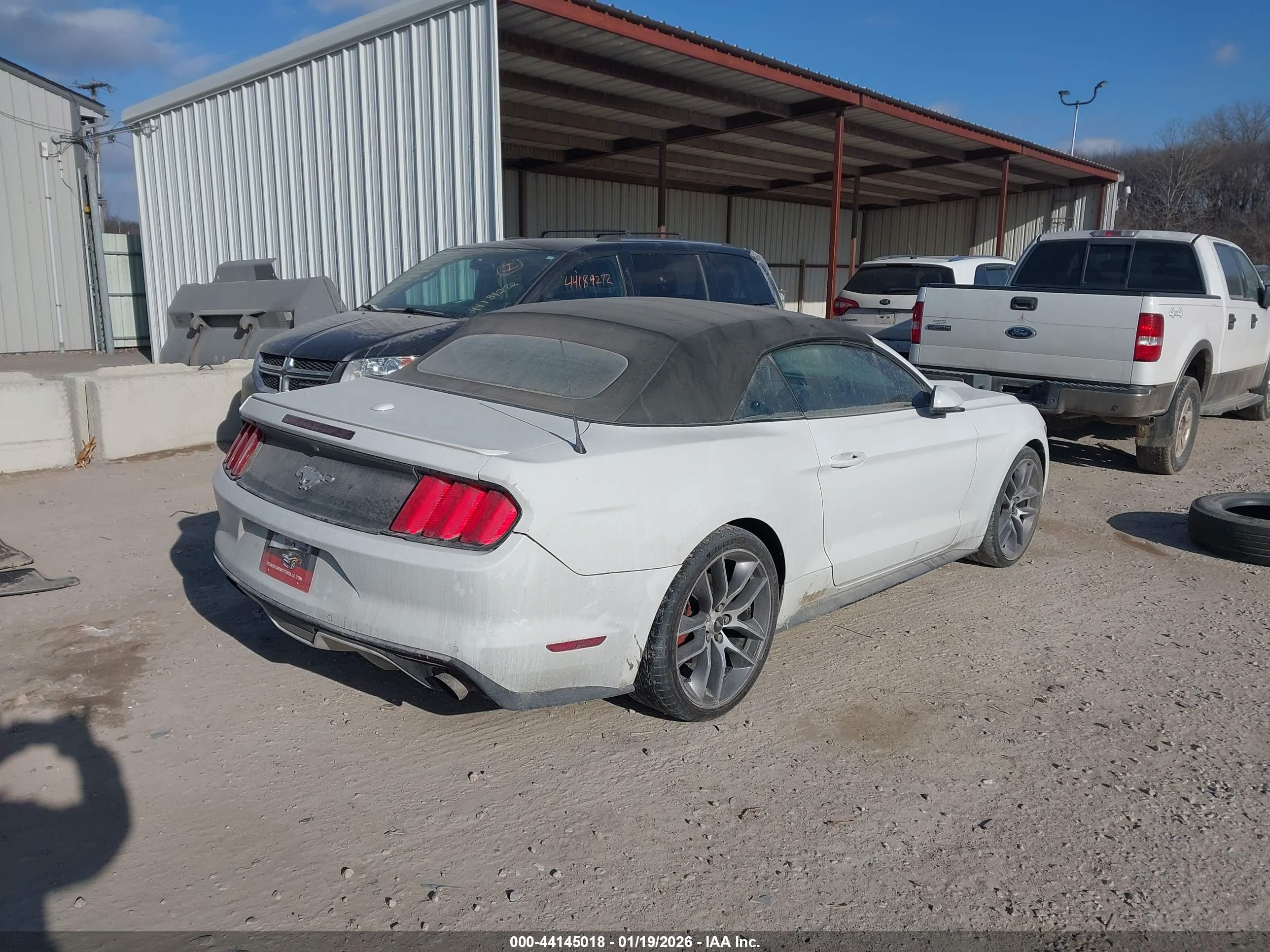 FORD MUSTANG image 4