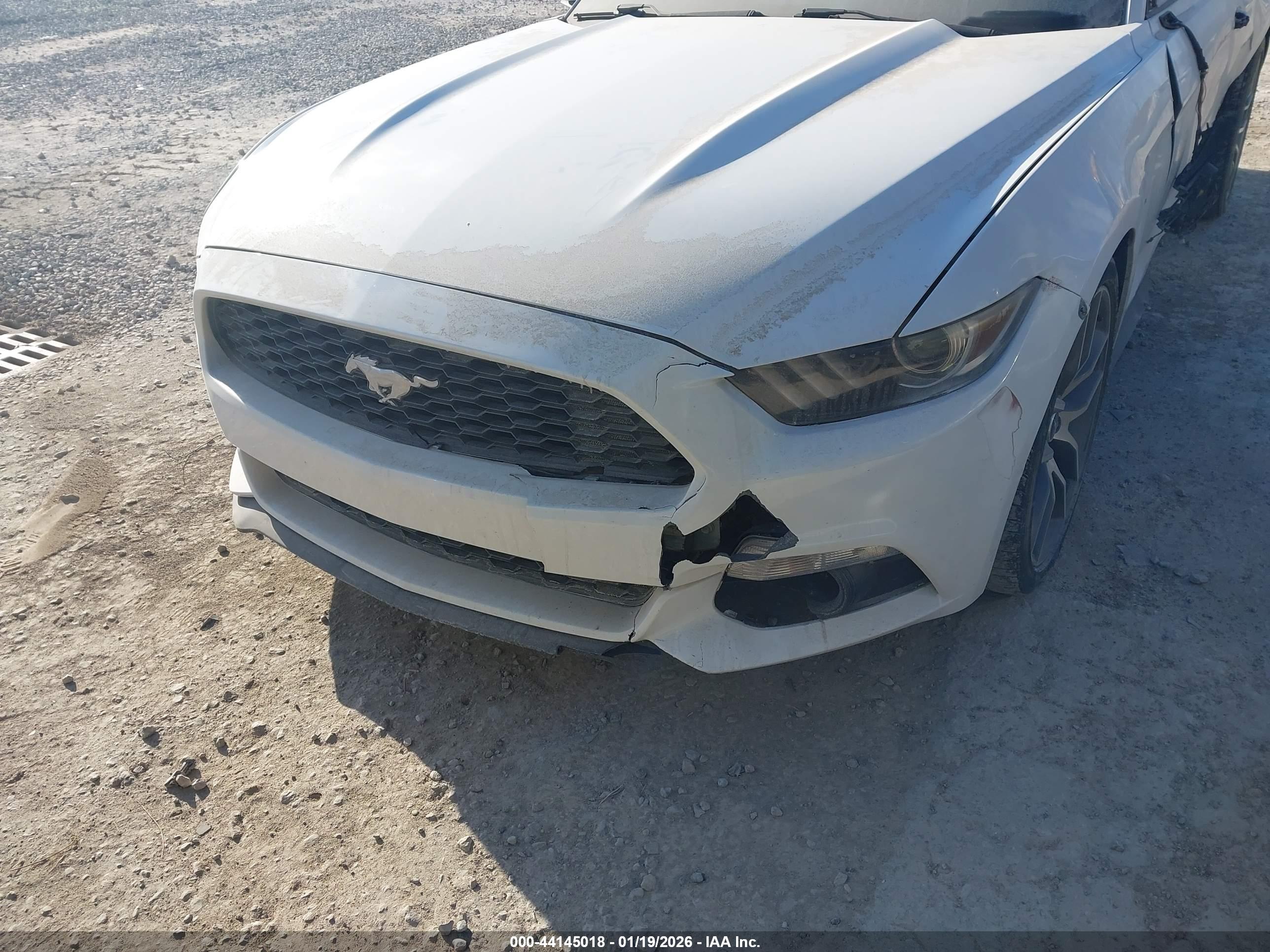 FORD MUSTANG image 6