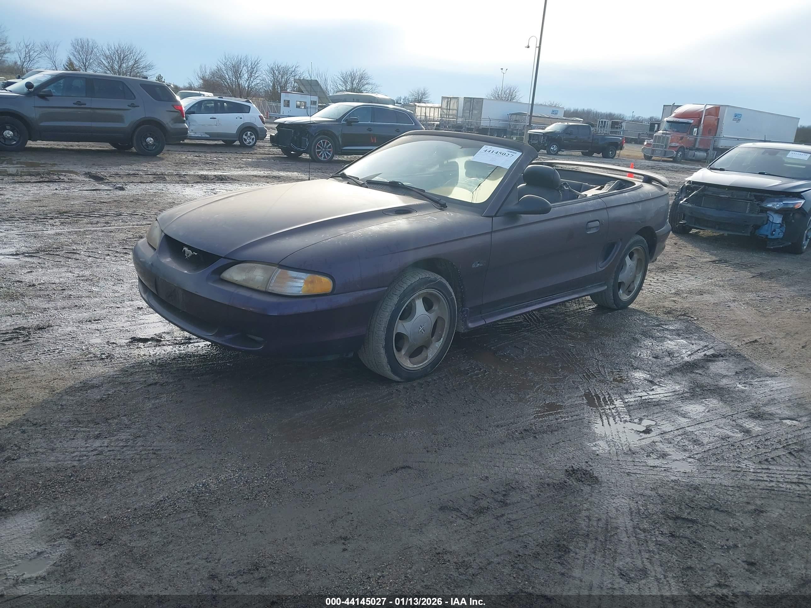 FORD MUSTANG image 2