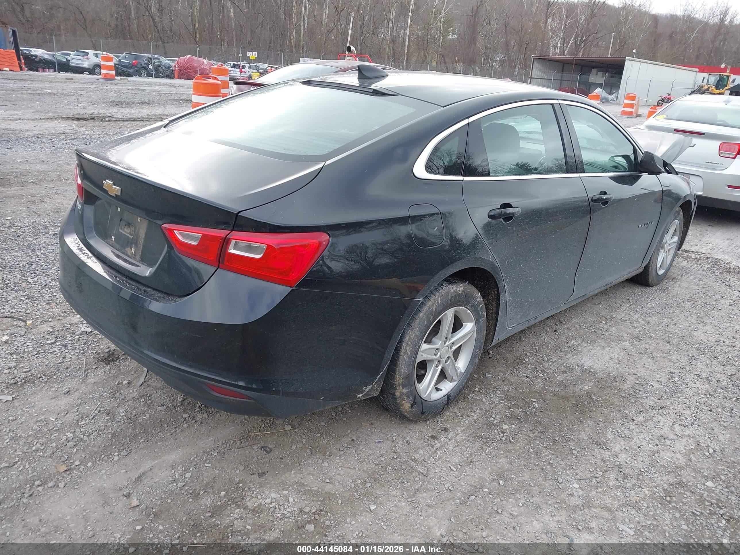 CHEVROLET MALIBU image 4