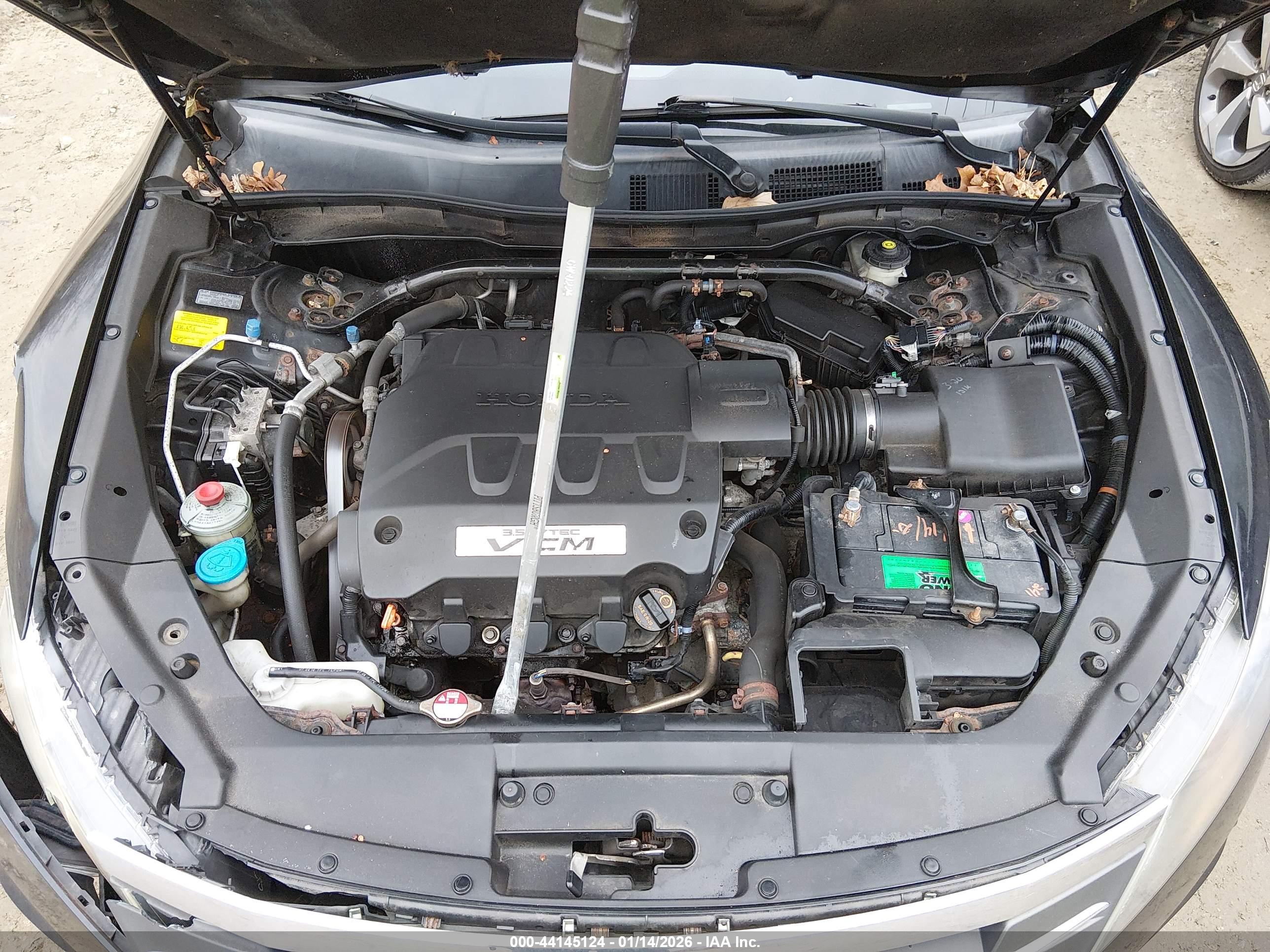 HONDA ACCORD image 10